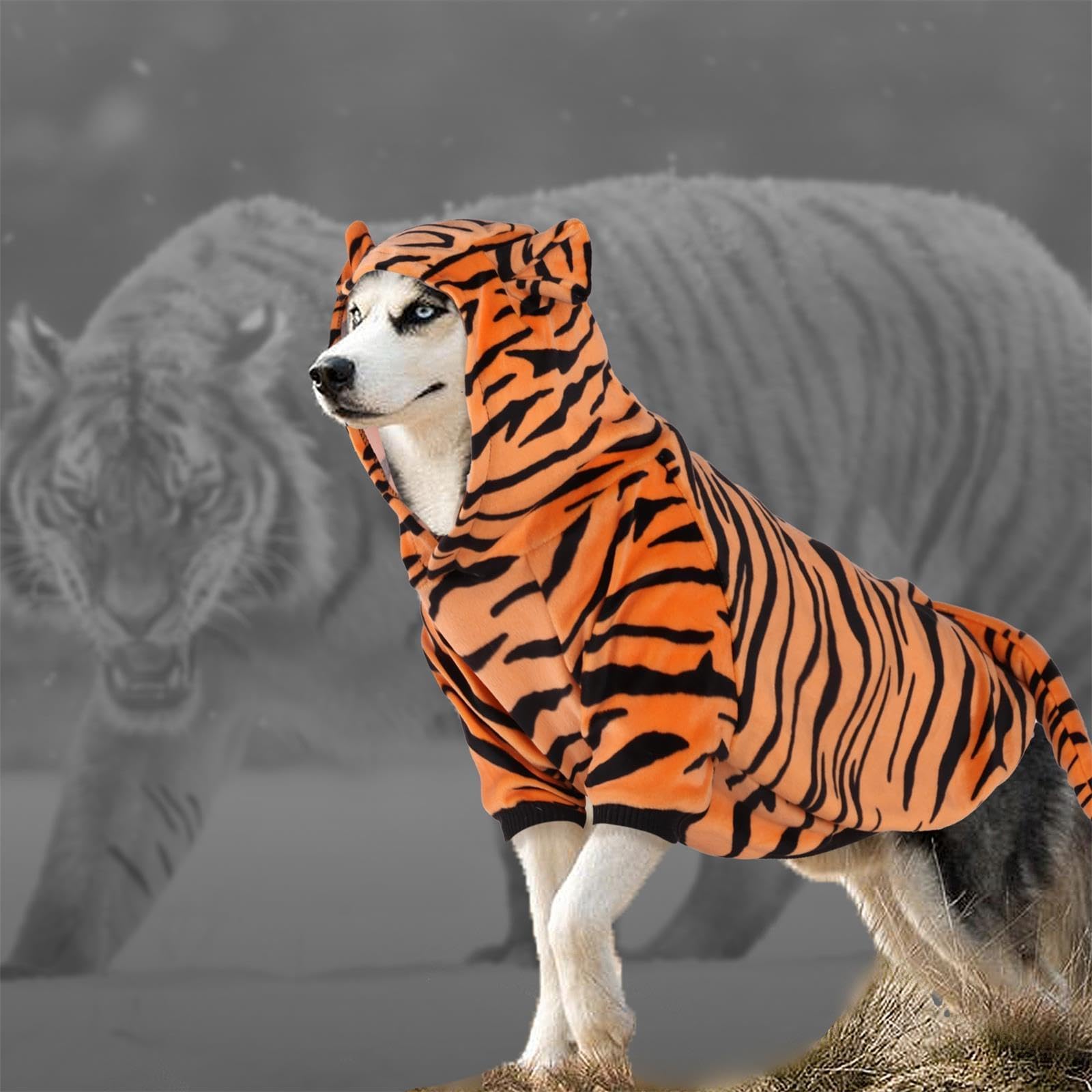 Delifur Dog Tiger Costume - Dog Funny Hooded Halloween Cosplay Funny Costume For Small Medium Dogs Pet Special Events Photo Prop