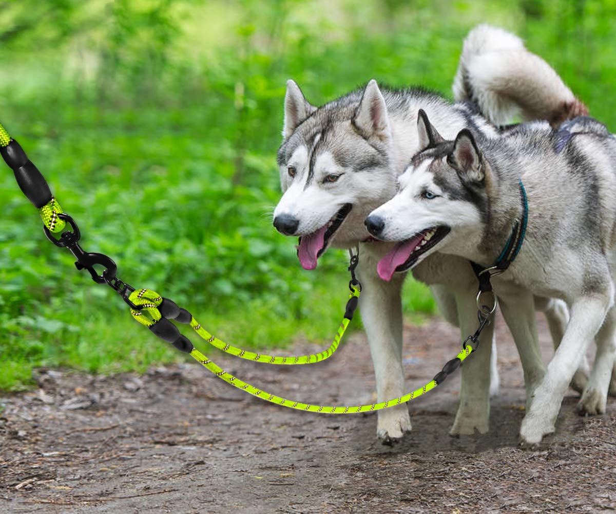 Taglory Double Dog Leash | Reflective Rope | No Tangle | Double Leash For Two Dogs | Puppy Small Medium Breeds | Green