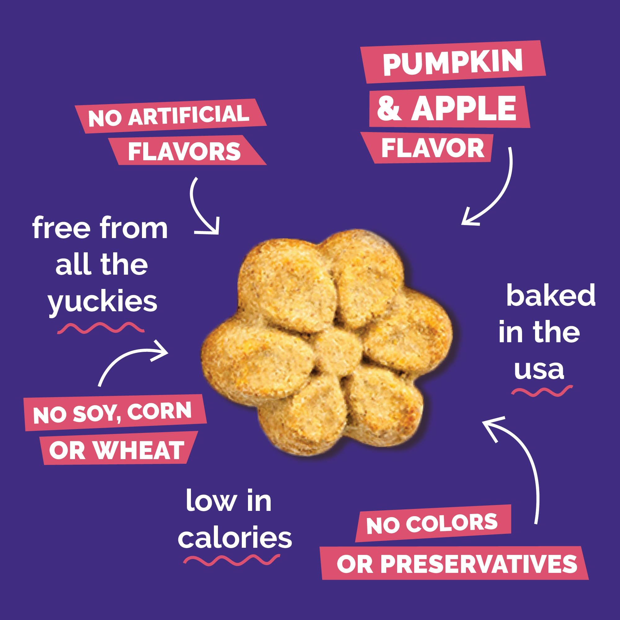Fruitables Baked Pumpkin Dog Treats - Healthy Low-Calorie, Wheat-Free, Corn-Free, Soy-Free - Sweet Potato Training Treats for Do