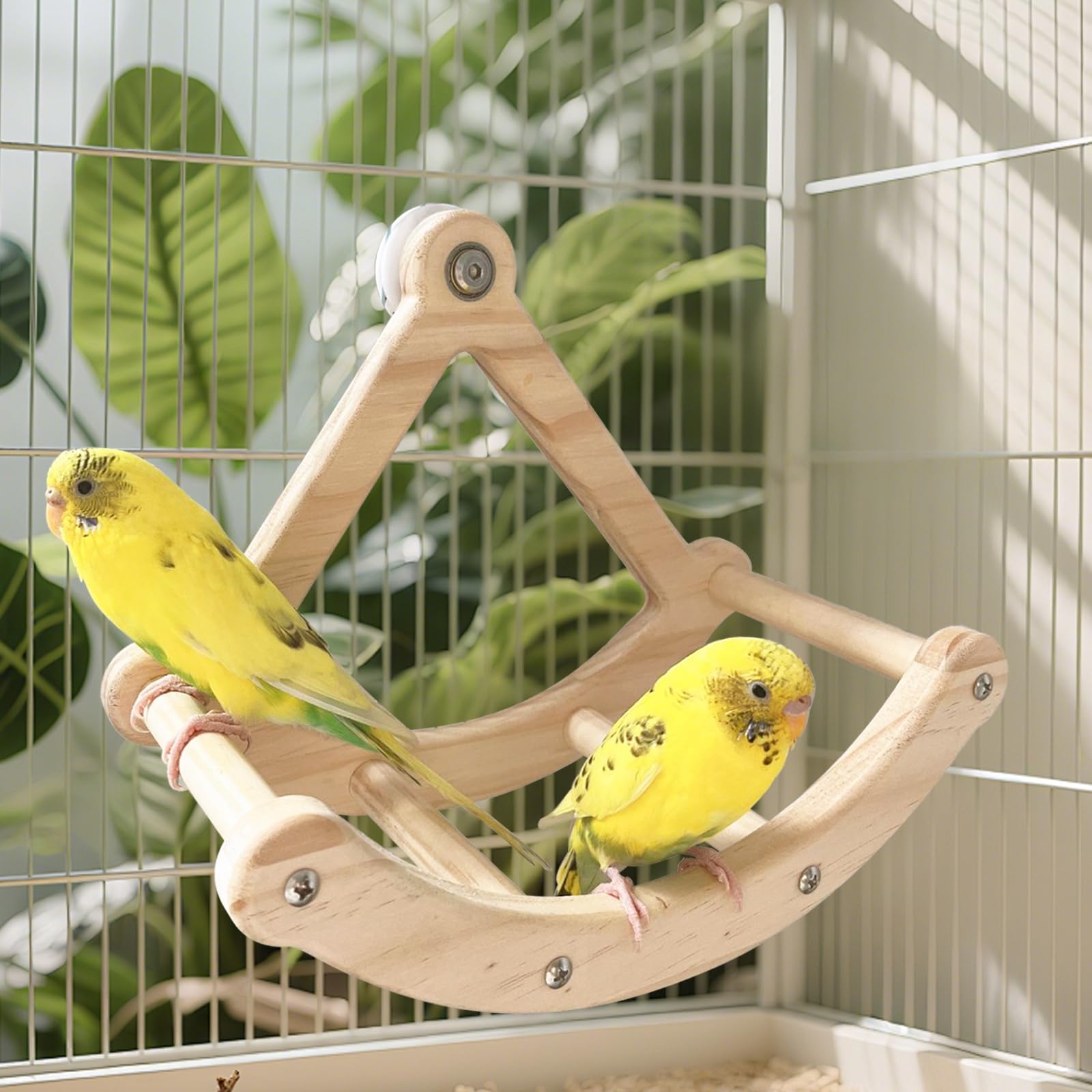 Bird Perch Toy,Wooden Rocking Perch Exercise Wheel, Interactive Bird Intelligence Puzzle for Animals Parrot,Green Cheeks, Baby L