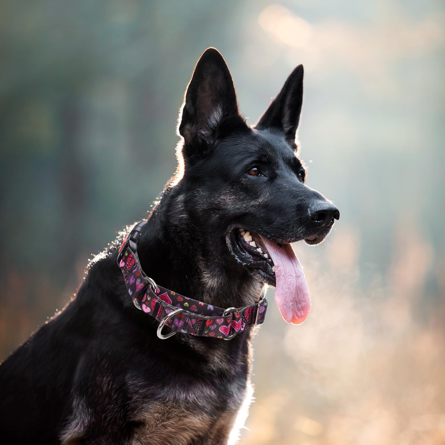 Martingale Collar For Dogs, Girl Dog Collar With Love Heart Design For Small Medium Large Dogs, Adjustable Safety Buckle Dog Col