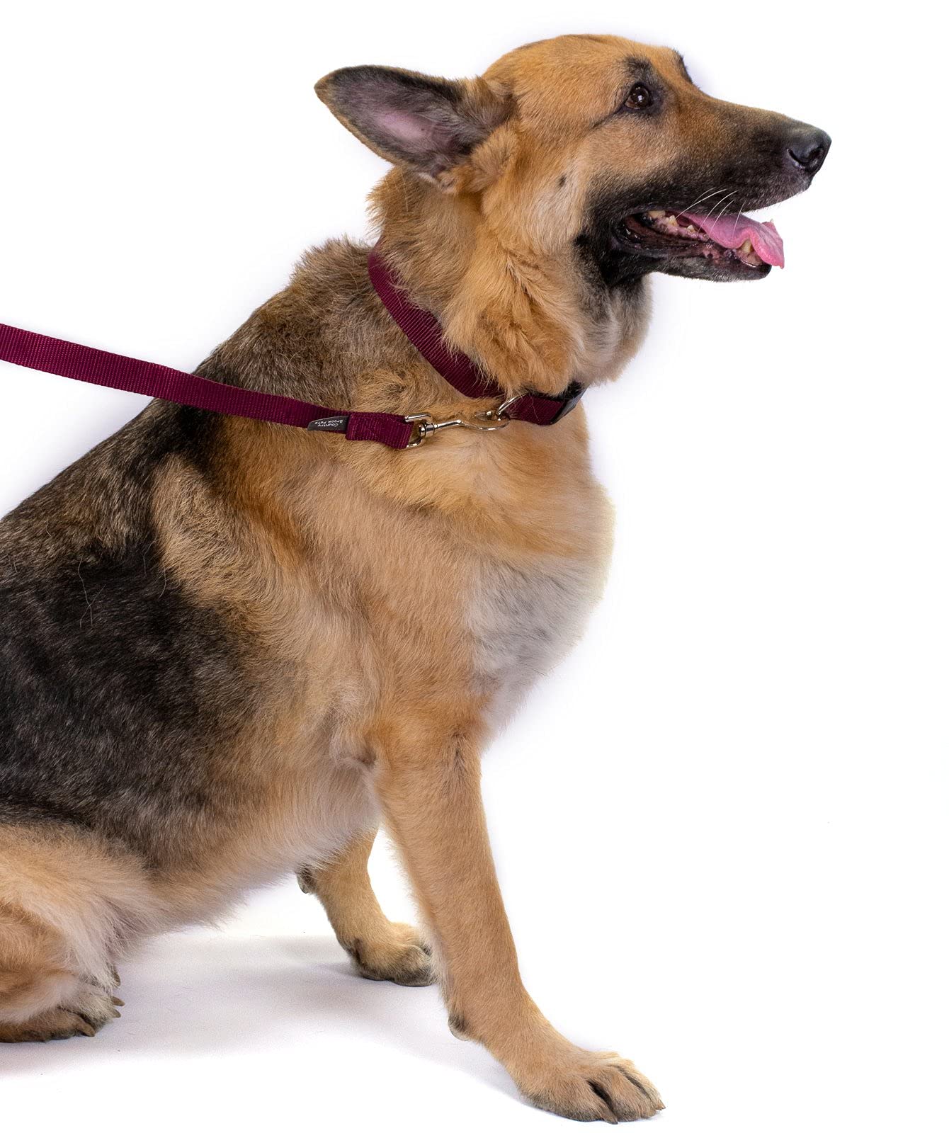 Country Brook Petz 3/4' Narrow Heavy-Duty Nylon Leash For Dogs - Traditional Style Durable Leash With Easy-To-Use Snap - Made In The Usa, Burgundy, 6 Foot