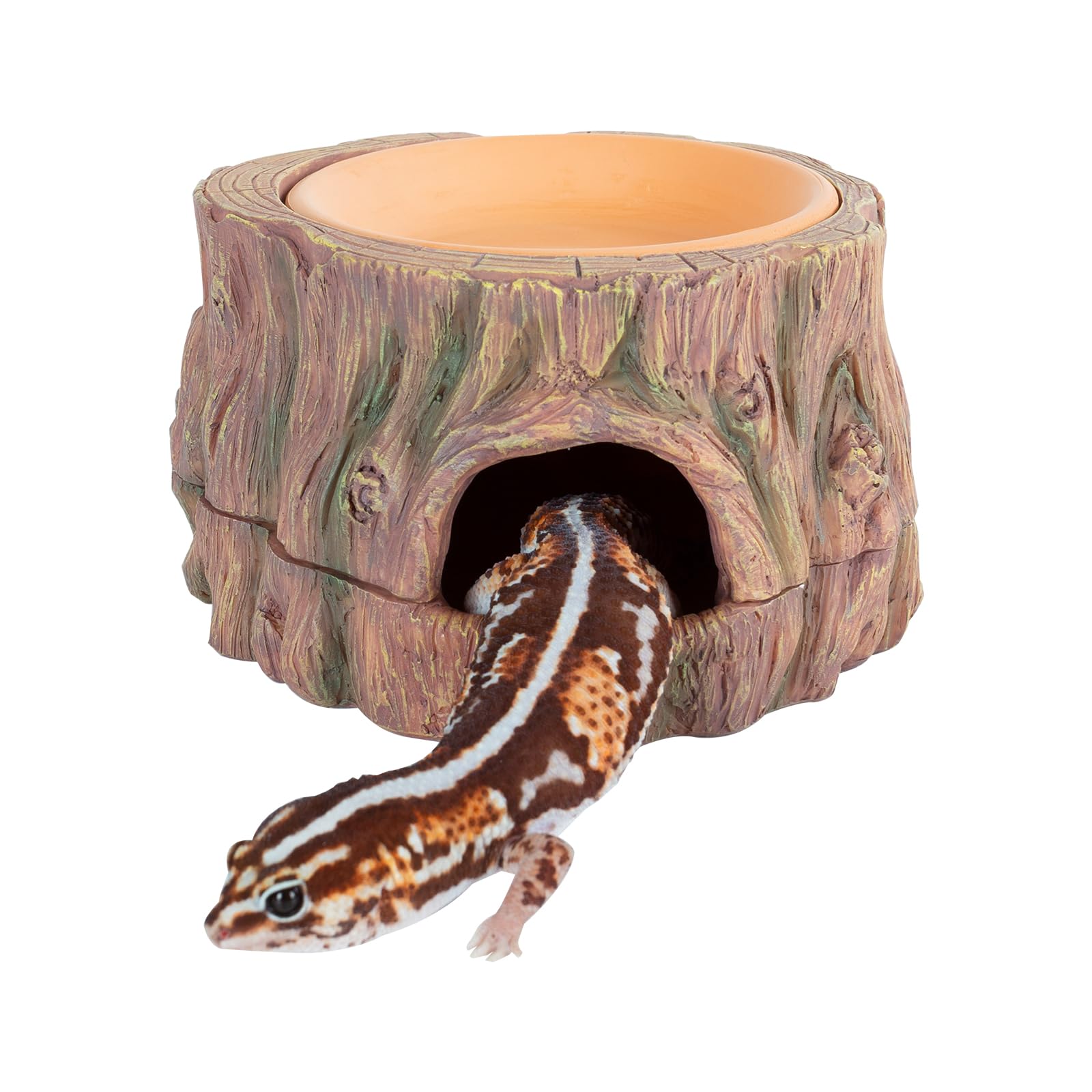 CAVACHEW 3 in 1 Reptile Hide Cave with Detachable Base & Humidity Dish, Essential Tank Terrarium Decor Humid Hideout Accessories