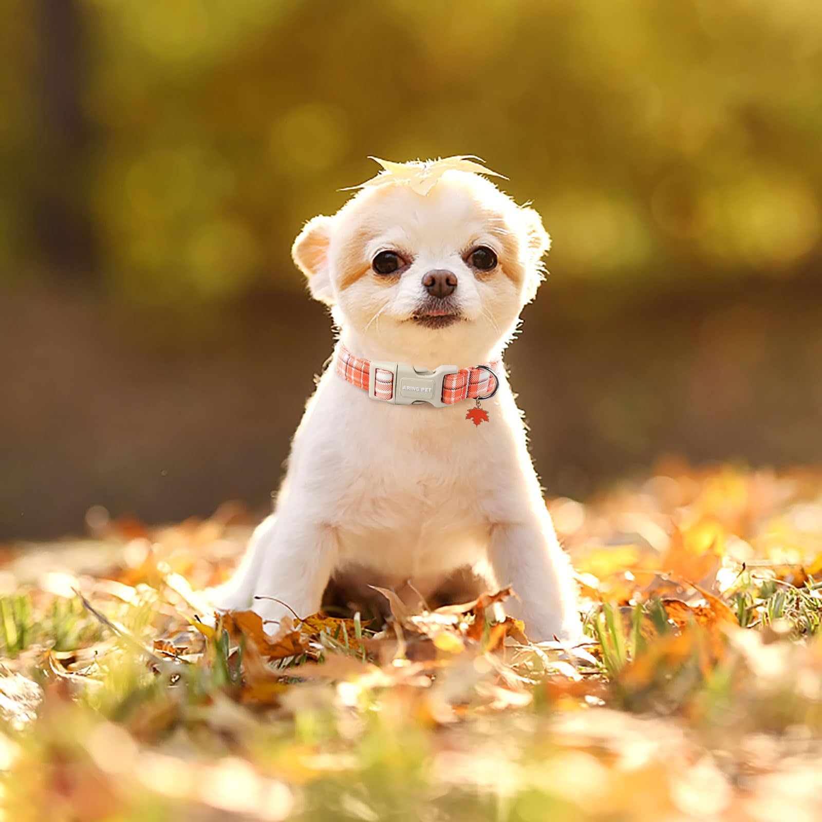 Aring Pet Halloween Dog Collar-Cute Orange Plaid Dog Collars, Adjustable Fall Pet Collars Puppy Collar With Quick Release Buckle