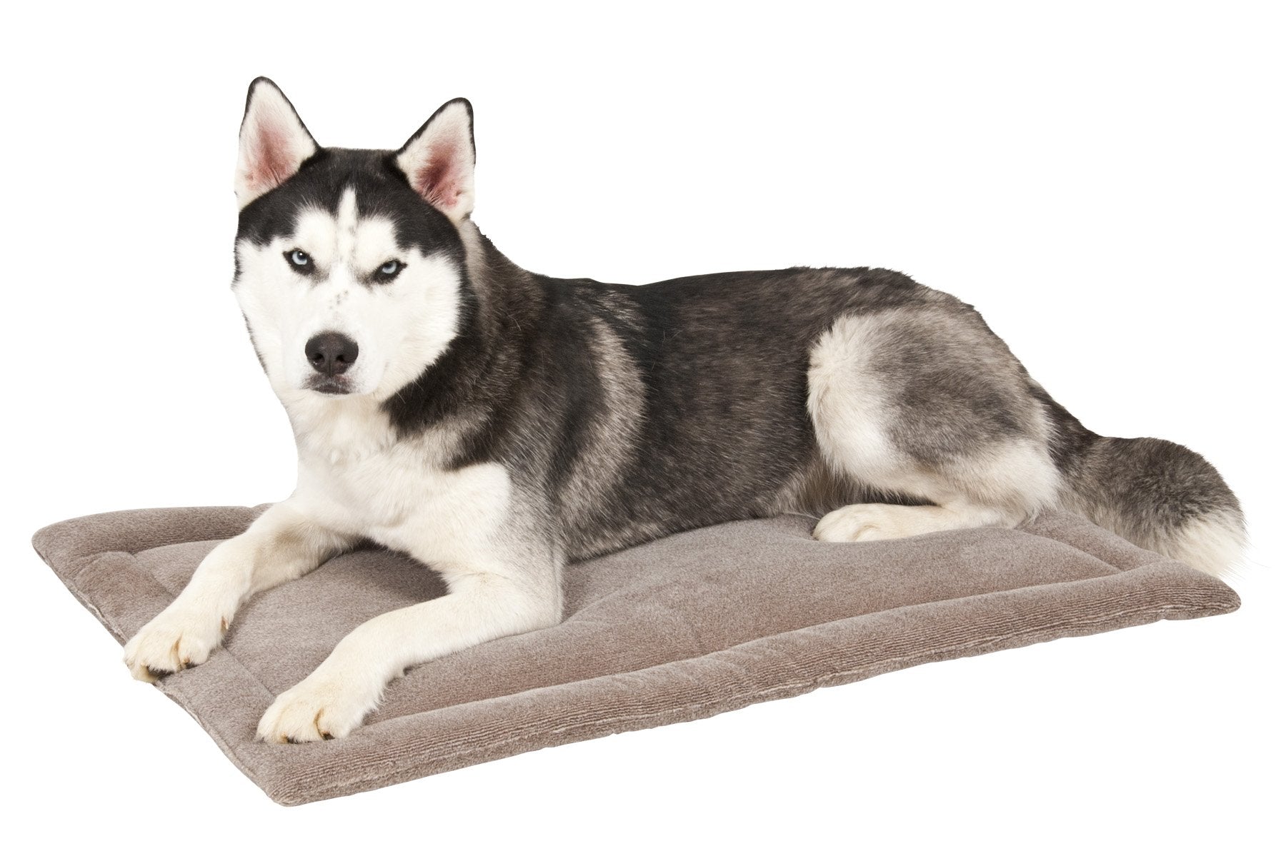 Petmate Aspen Pet Rectangular Kennel Mat, Dark Gray, for 40 Crates