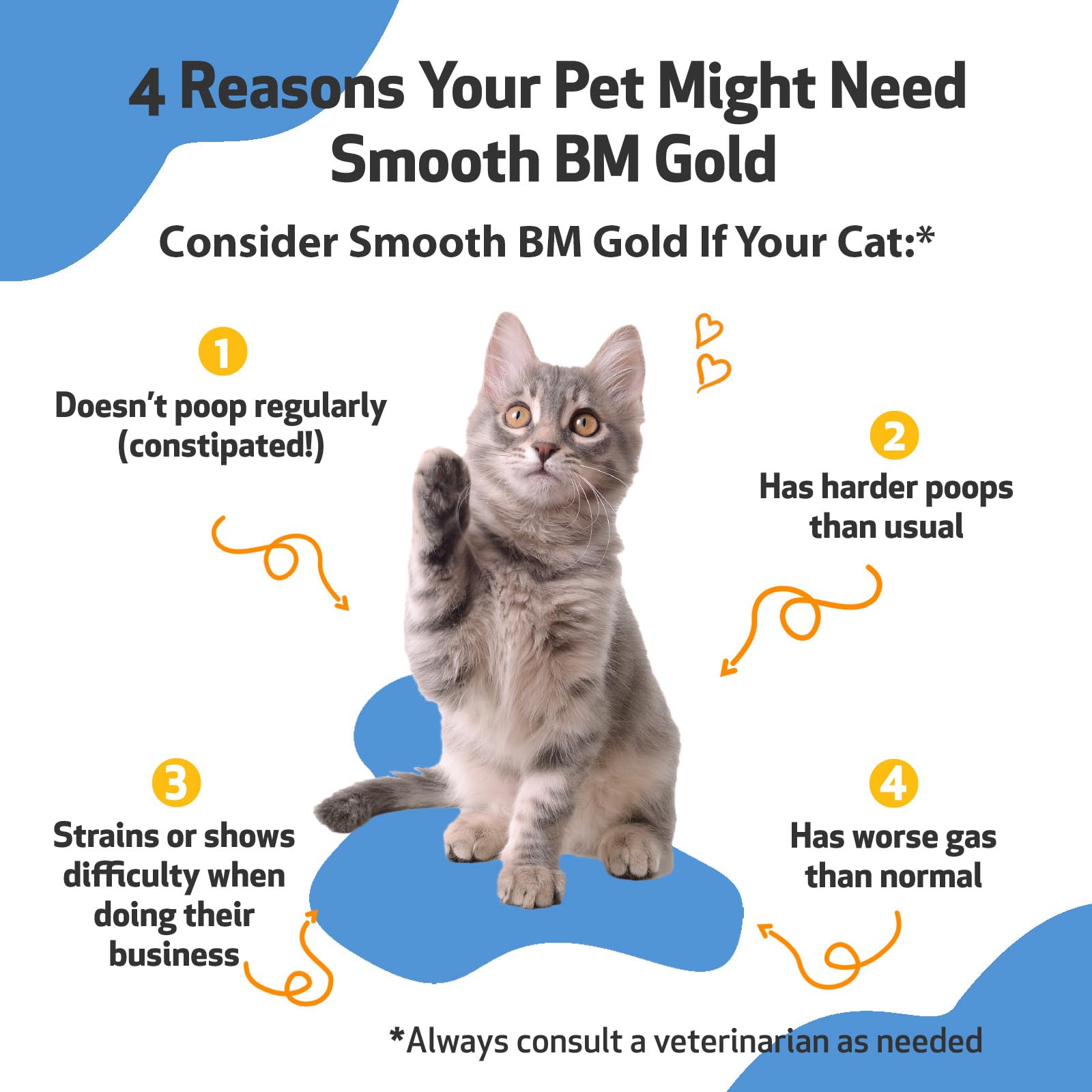 Pet Wellbeing Smooth BM Gold for Cats - Gentle Constipation Relief for Felines - Natural Herbal Supplement 2 oz (59 ml)