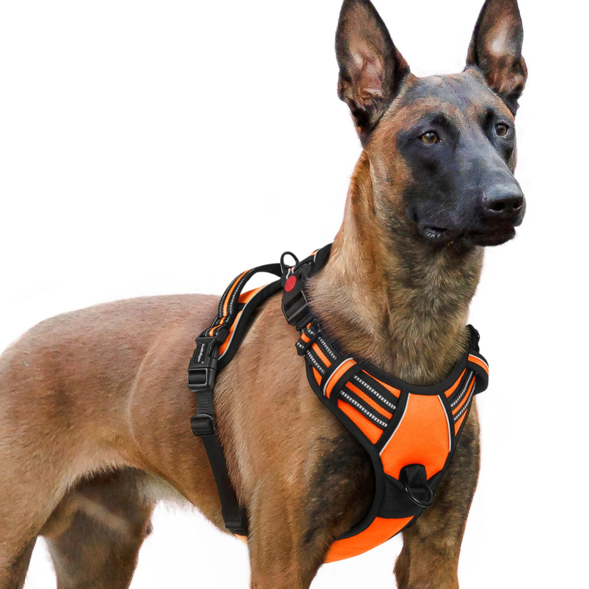 Rabbitgoo Dog Harness For Large, No Pull Pet Harness With 3 Buckles, Adjustable Soft Padded Pooch Vest With Instant Control Handle, Easy Walking Reflective Pet Vest For Extra Large Dogs, Orange, Xl