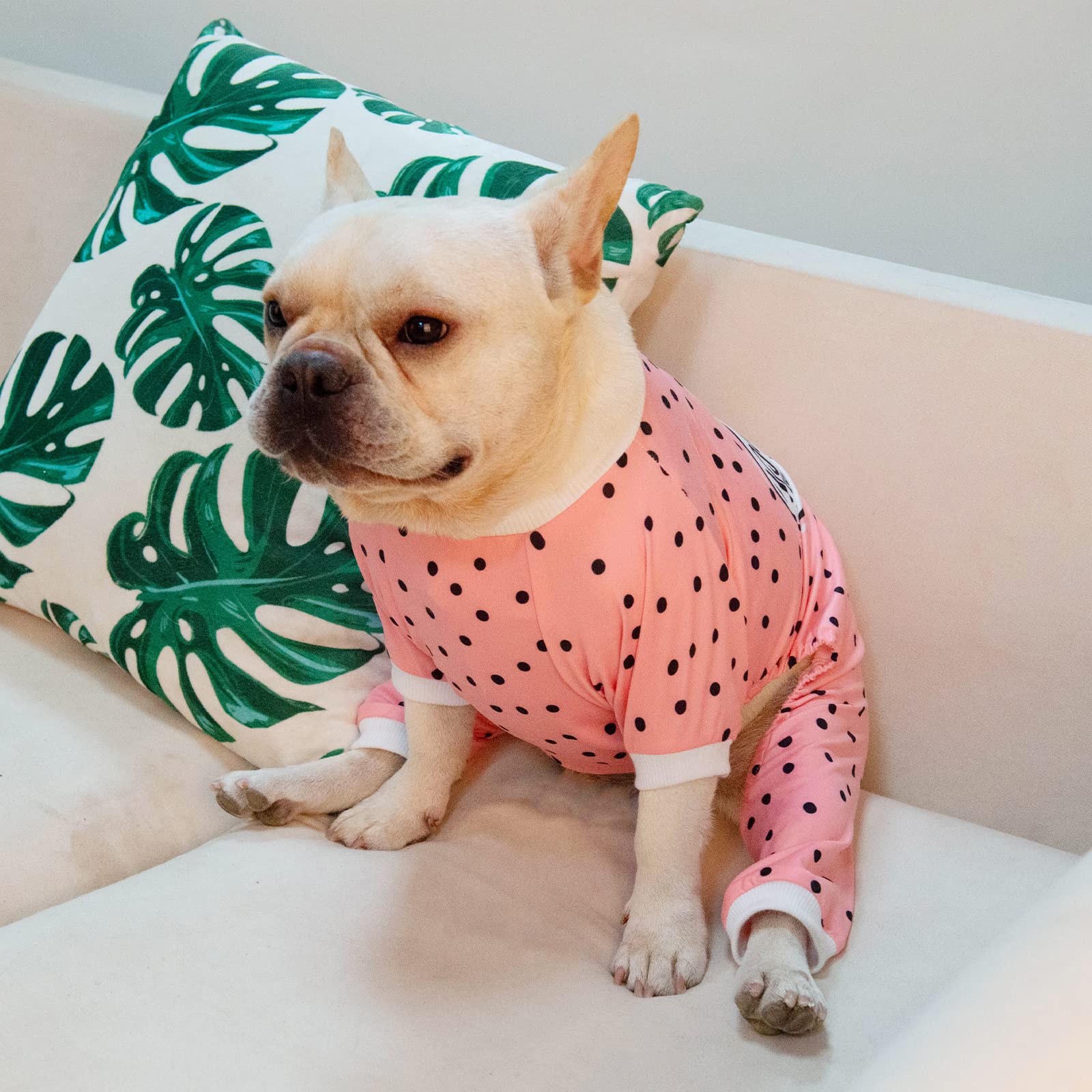 Cutebone Fun Letters Small Dog Pajamas Stretchy Puppy Pjs Soft Cat Clothes For Daily Wear Da13M