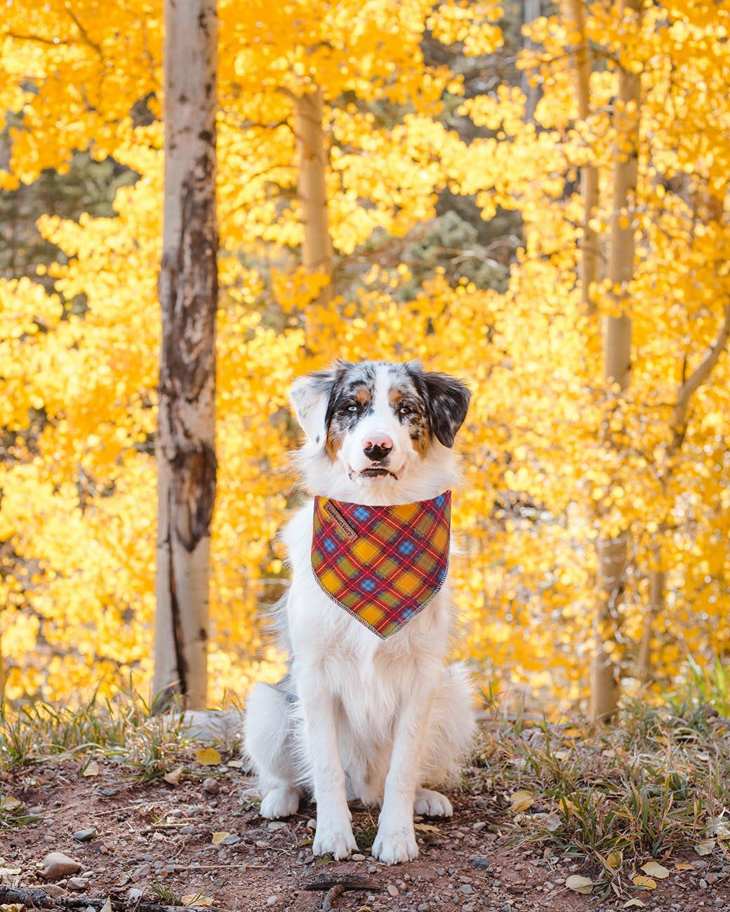Lionheart Glory Dog Bandana 1 Pack Washable Soft Cotton Fall Plaid Bibs Scarf, Adjustable Kerchief Square Dog Bandanas For Large