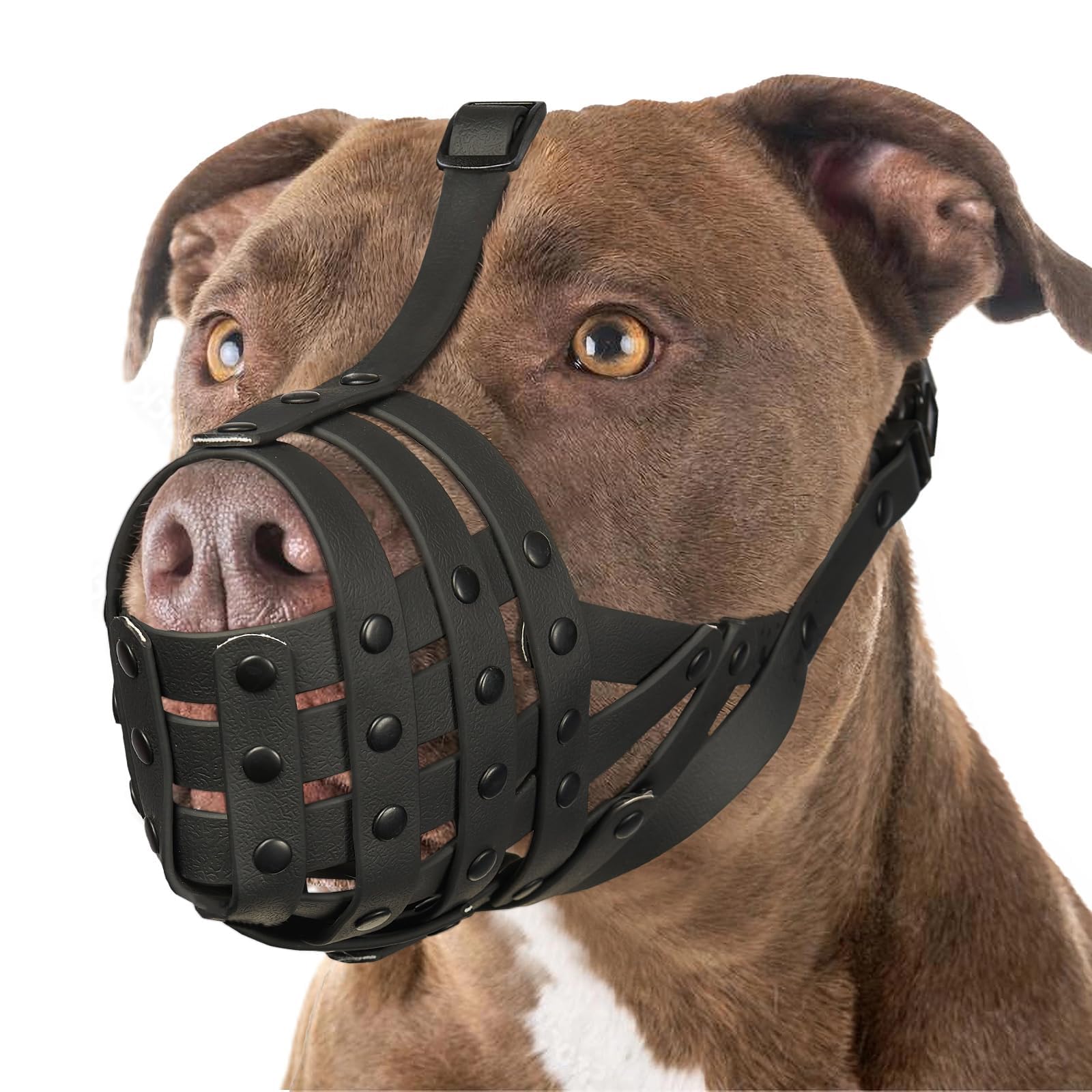 Mayerzon Pitbull Muzzle For Large Medium Sized Dogs To Prevent Biting Scavenging, Basket Muzzle For Rottweiler Staffordshire Ter