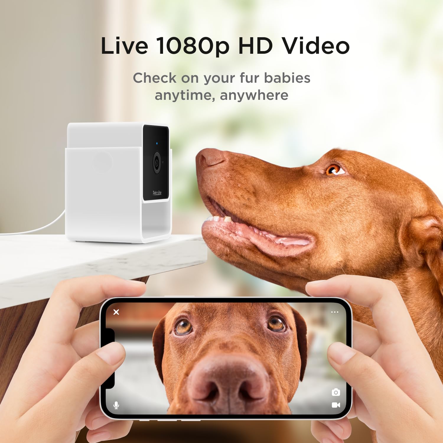 Petcube Cam The Pack Of 3 | Indoor Wi-Fi Pet Security Camera With Phone App, 2-Way Audio And Video, Night Vision, 1080P Hd Video