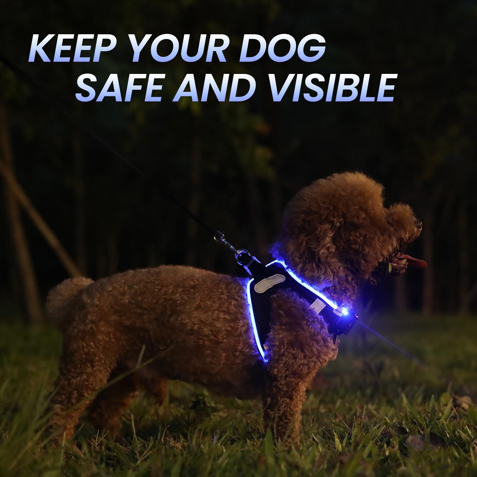 Pceotllar Light Up Led Dog Harness - Rechargeable No Pull Reflective, Flashing For Night Walking (Blue, Xs)