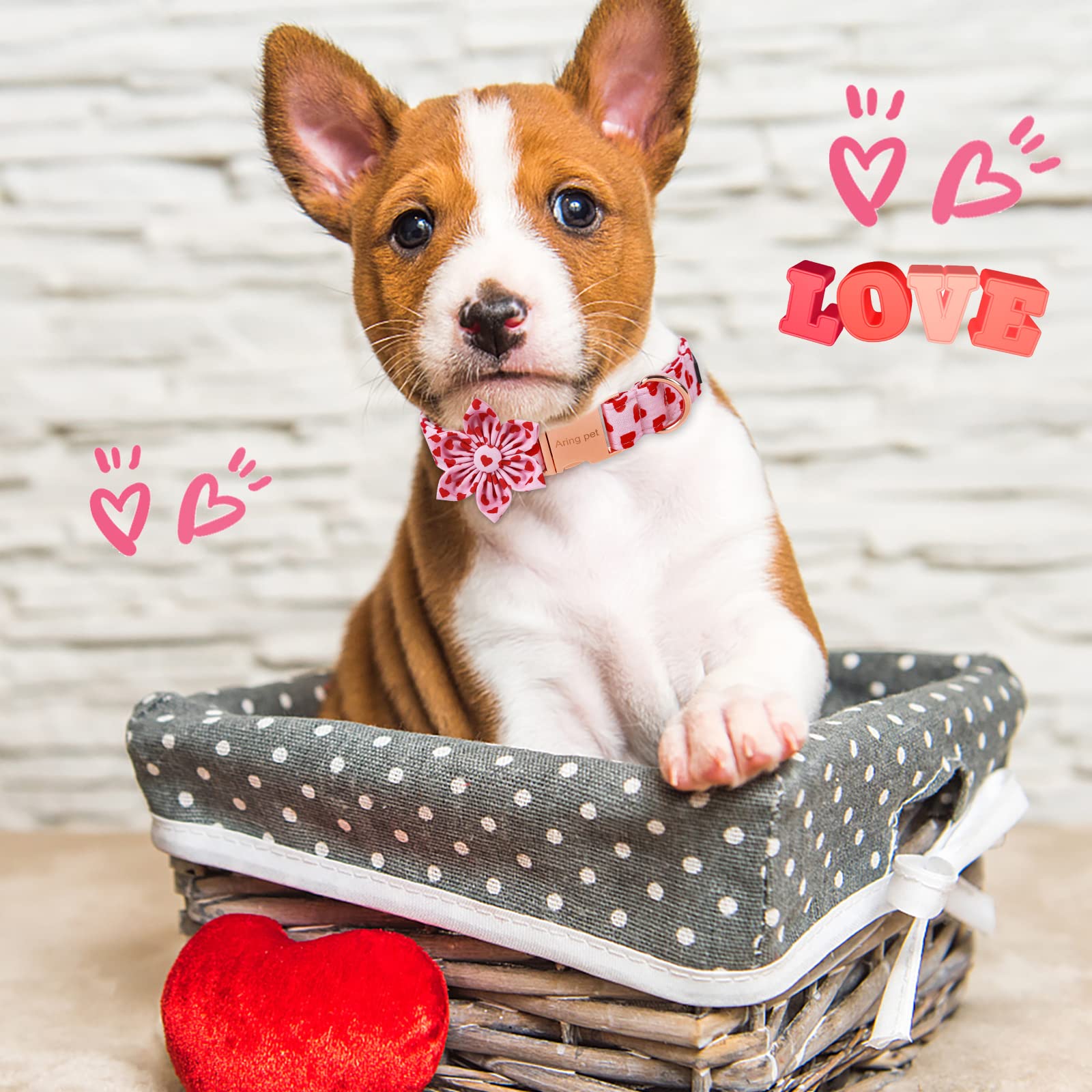 Aring Pet Valentine'S Dog Collar-Adorable Pink Heart Dog Collar With Flower, Adjustable Cotton Girl Dog Collars With Metal Buckl