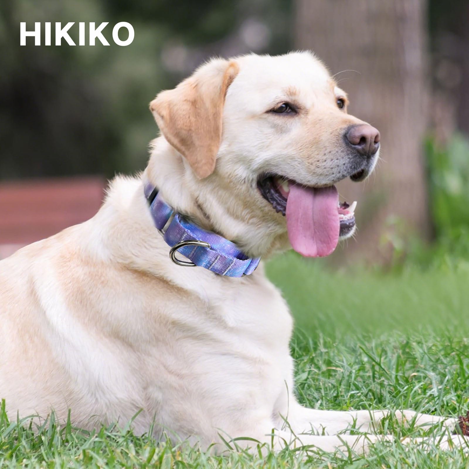 Hikiko Martingale Collar For Dogs With No Buckle Purple Gradient Training Dog Collars For Medium Dogs,Tie Dye,M