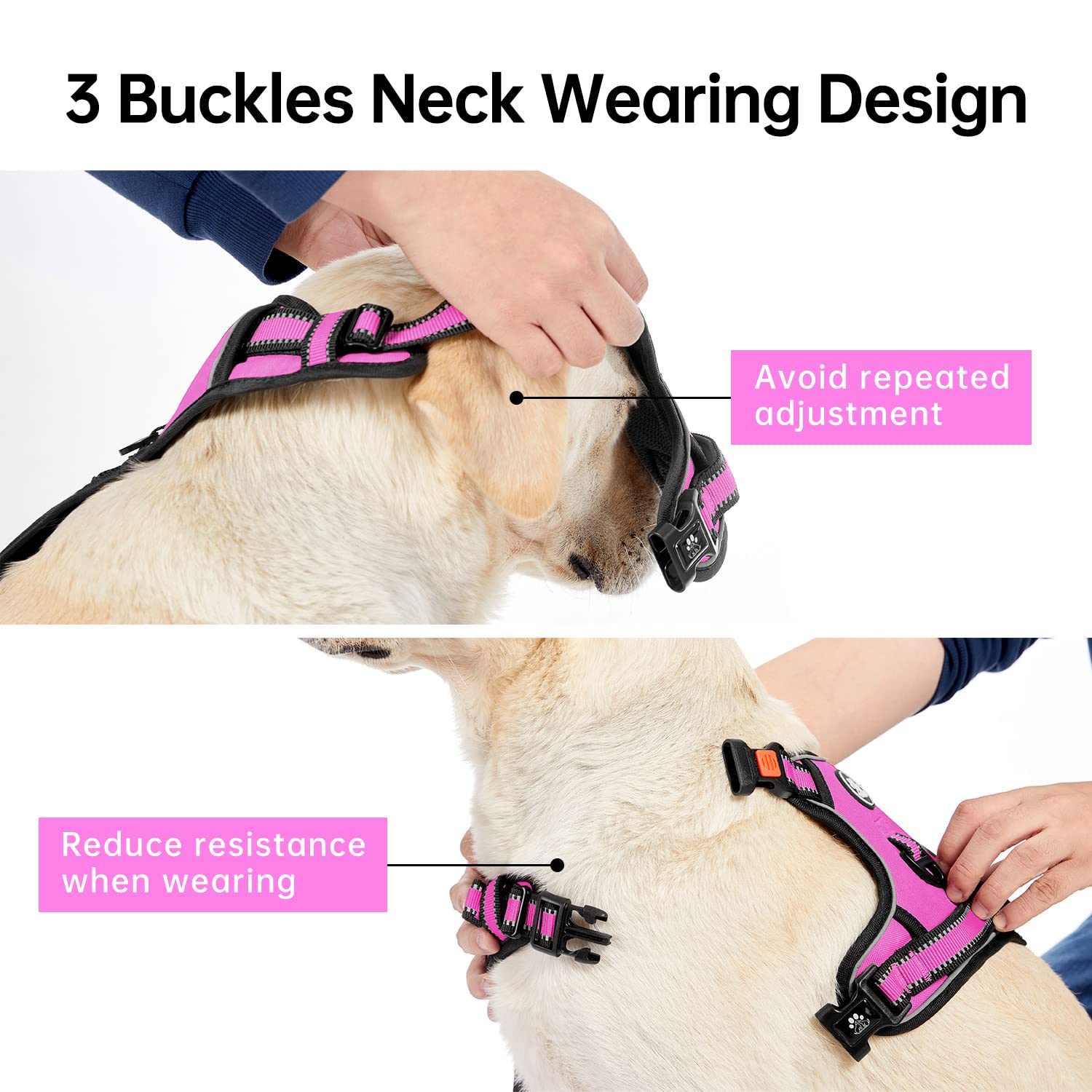 Ivy&Lane No Pull Dog Harness For Medium Dogs,Dog Vest Harness With Leash,Safety Belt And Storage Strap, Fully Adjustable Harness