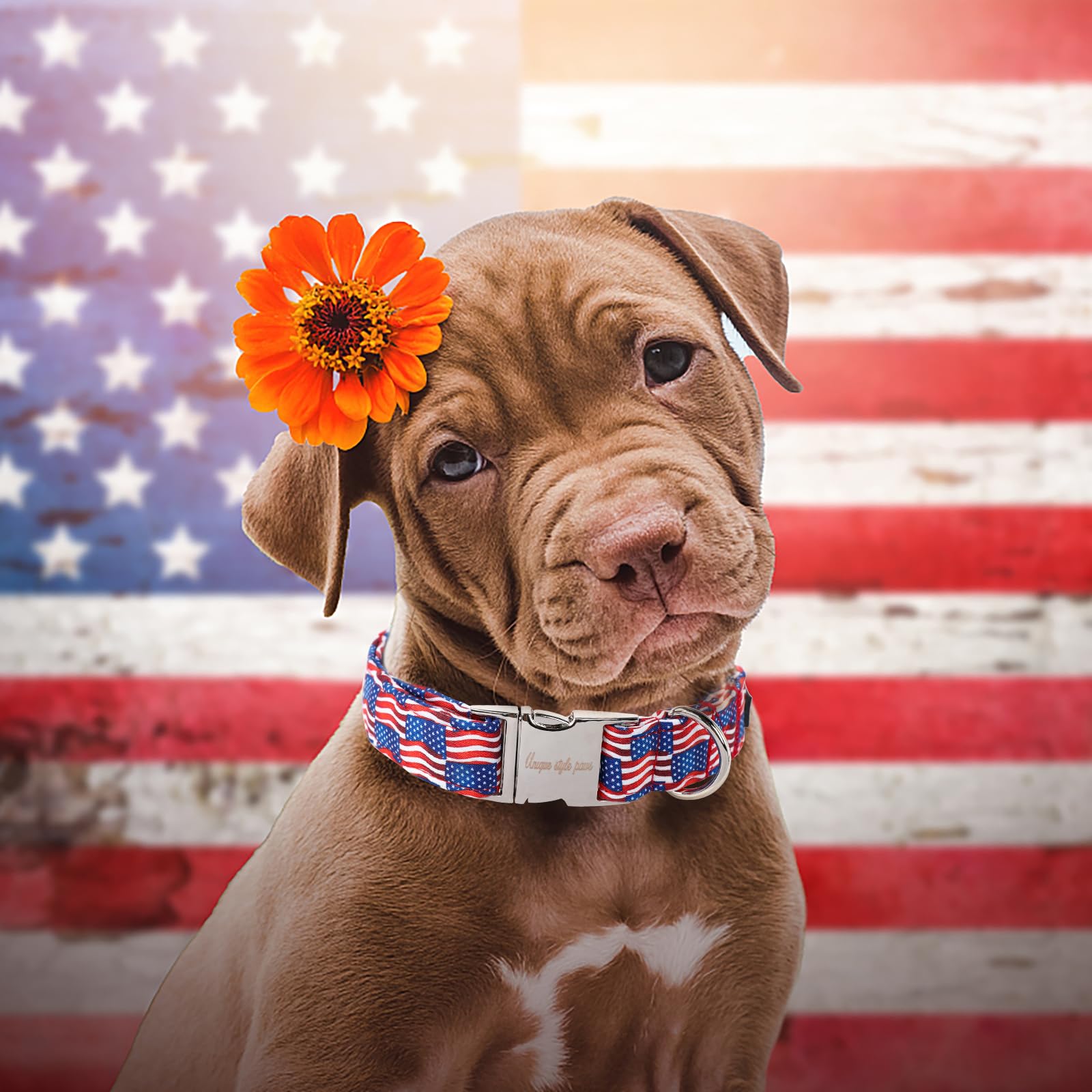 Unique Style Paws Independence Day Dog Collar Metal Buckle Wave Flag Collar Gift Durable Cute Collar For Small Medium Large Boys