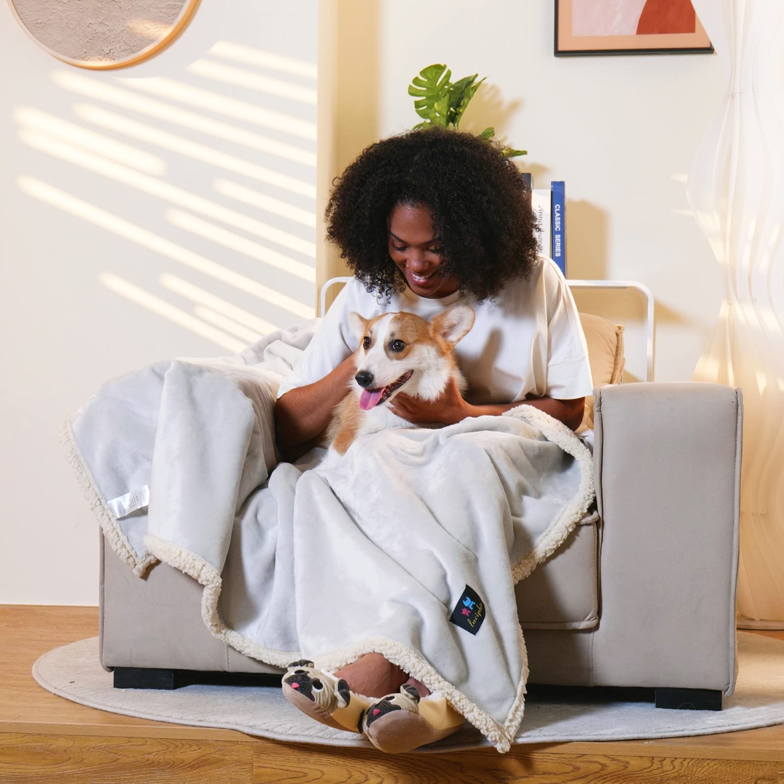 Waterproof Pet Blanket, Liquid Pee Proof Dog Blanket For Sofa Bed Couch, Reversible Sherpa Fleece Furniture Protector Cover For Small Medium Large Dogs Cats, Grey White Medium(57' X 40')