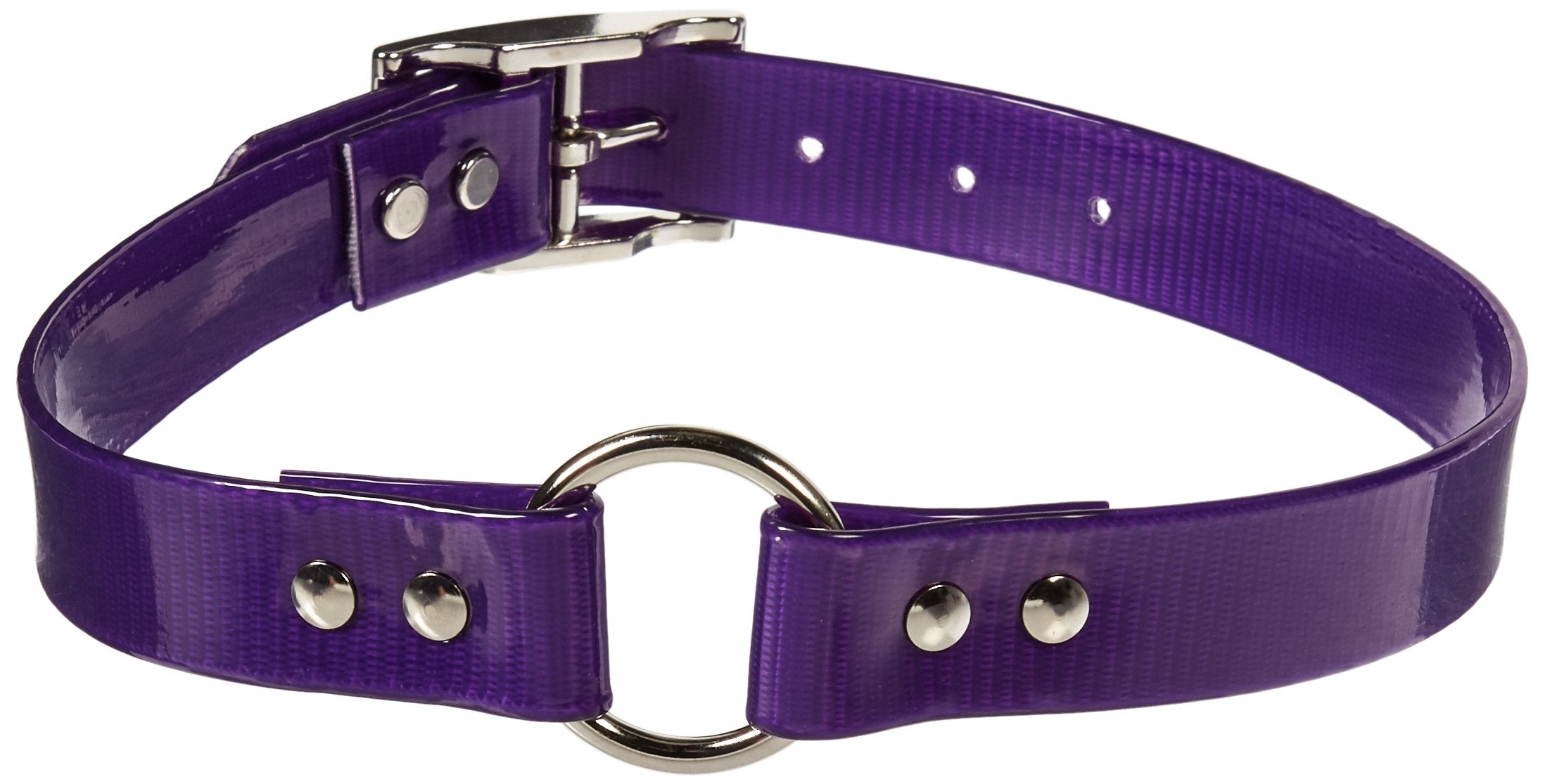 Omnipet Sunglo Ring-In-Center Dog Collar, 1' Wide, Purple, Fits 20.5'- 24' Neck Sizes, Vibrant Colors & Tough Construction Fo