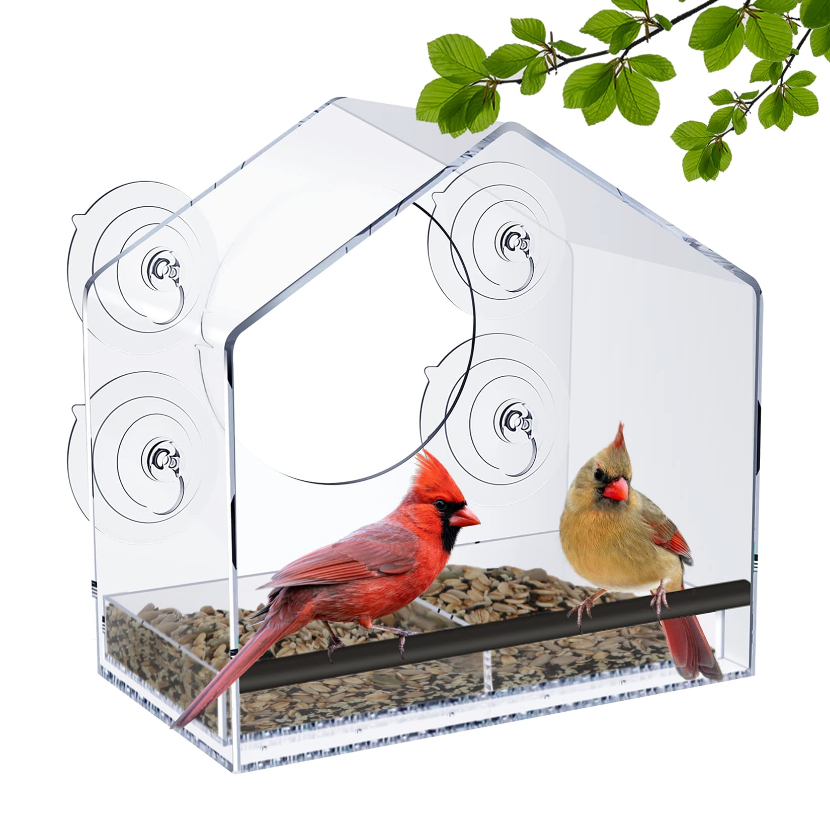 Jarkyfine Clear Window Bird Feeder for Outside - Large Transparent Window Bird Feeders for Viewing with Strong Suction Cups, Bir