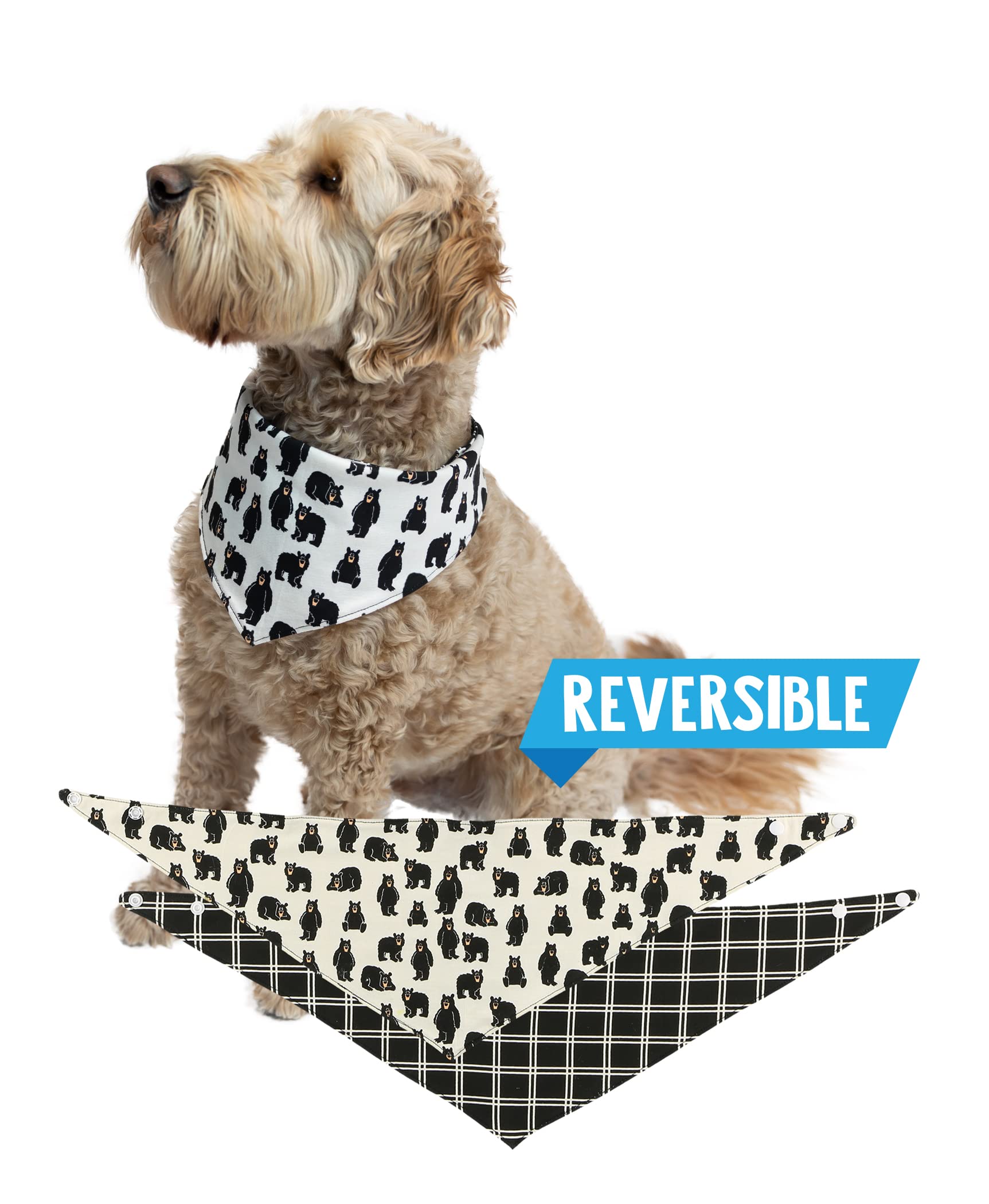 Lazy One Reversible Dog Bandana, Cute Accessories For Pets (Medium/Large, Family Bear)