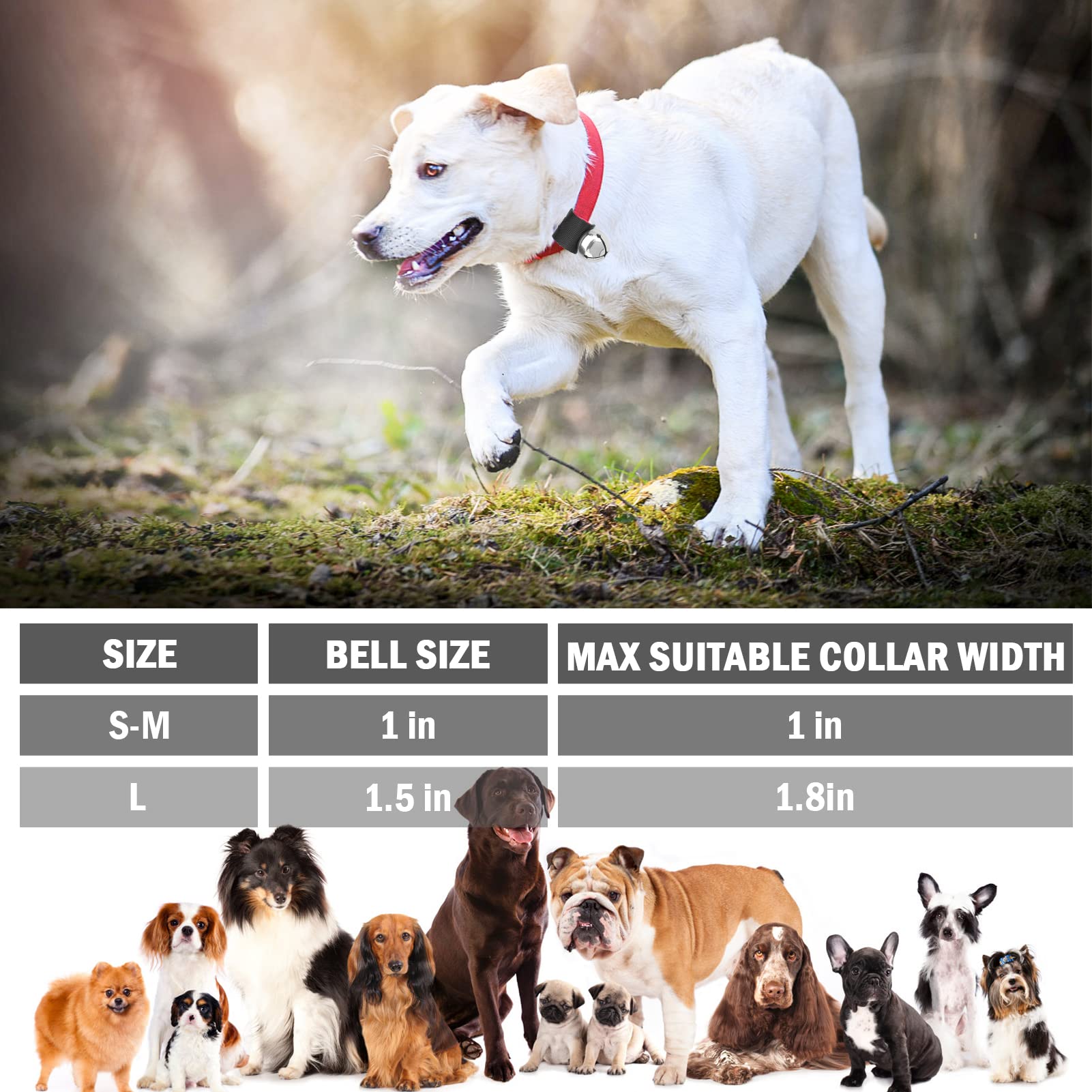 Scenereal Dog Collar Bell For Training, Hiking, Walking, Hunting, Pet Tracker, 2 Pack 1.0' Extra Loud Pet Bell For Save Wildlife And Birds (Bear Bell, Cow Bell) Gold | Silver For Small Medium Dogs