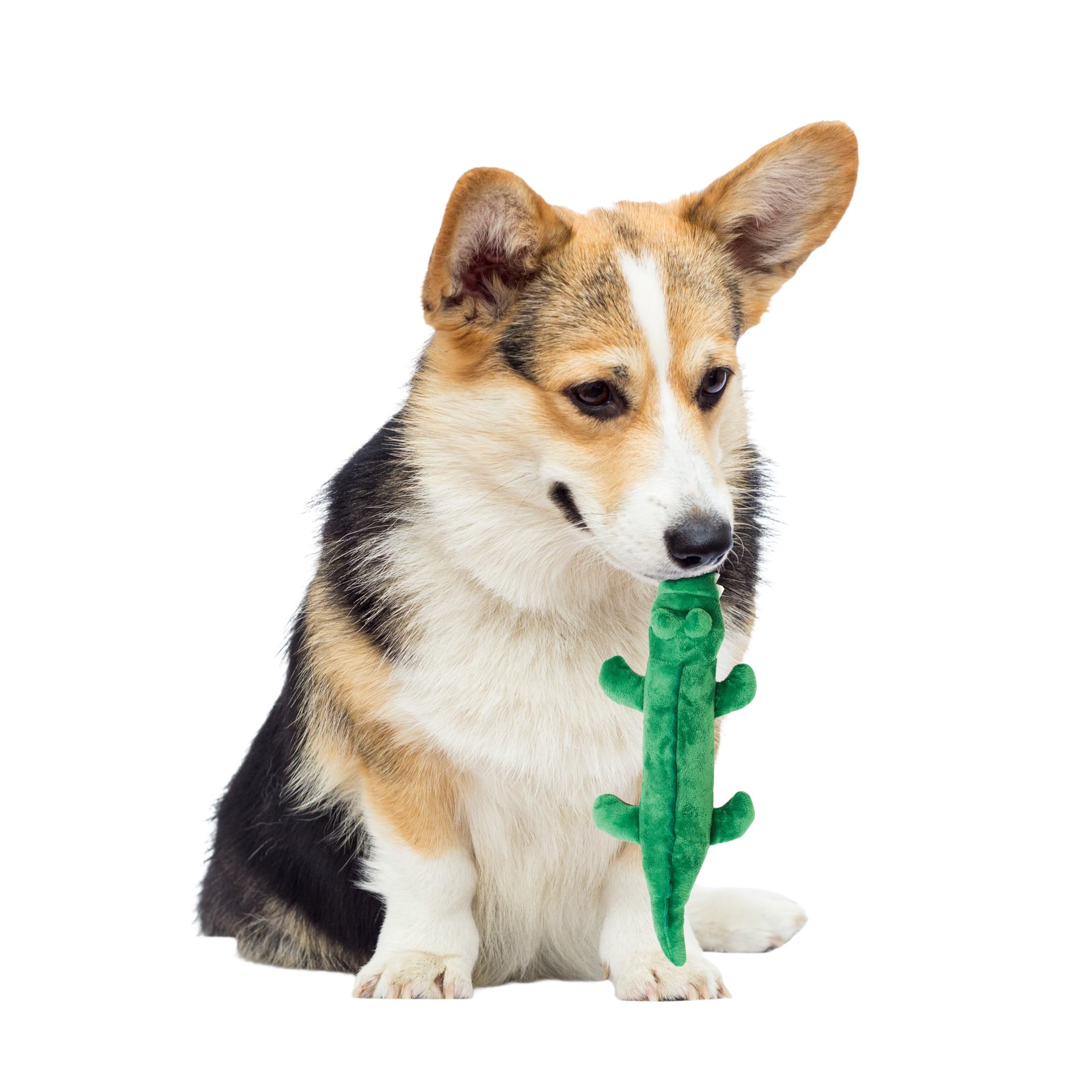 Spot Crunch And Squeak Plush Dog Toy - Crinkle Bottle Squeaker For Medium Puppies & Dogs, Light To Moderate Chewers, Assorted St