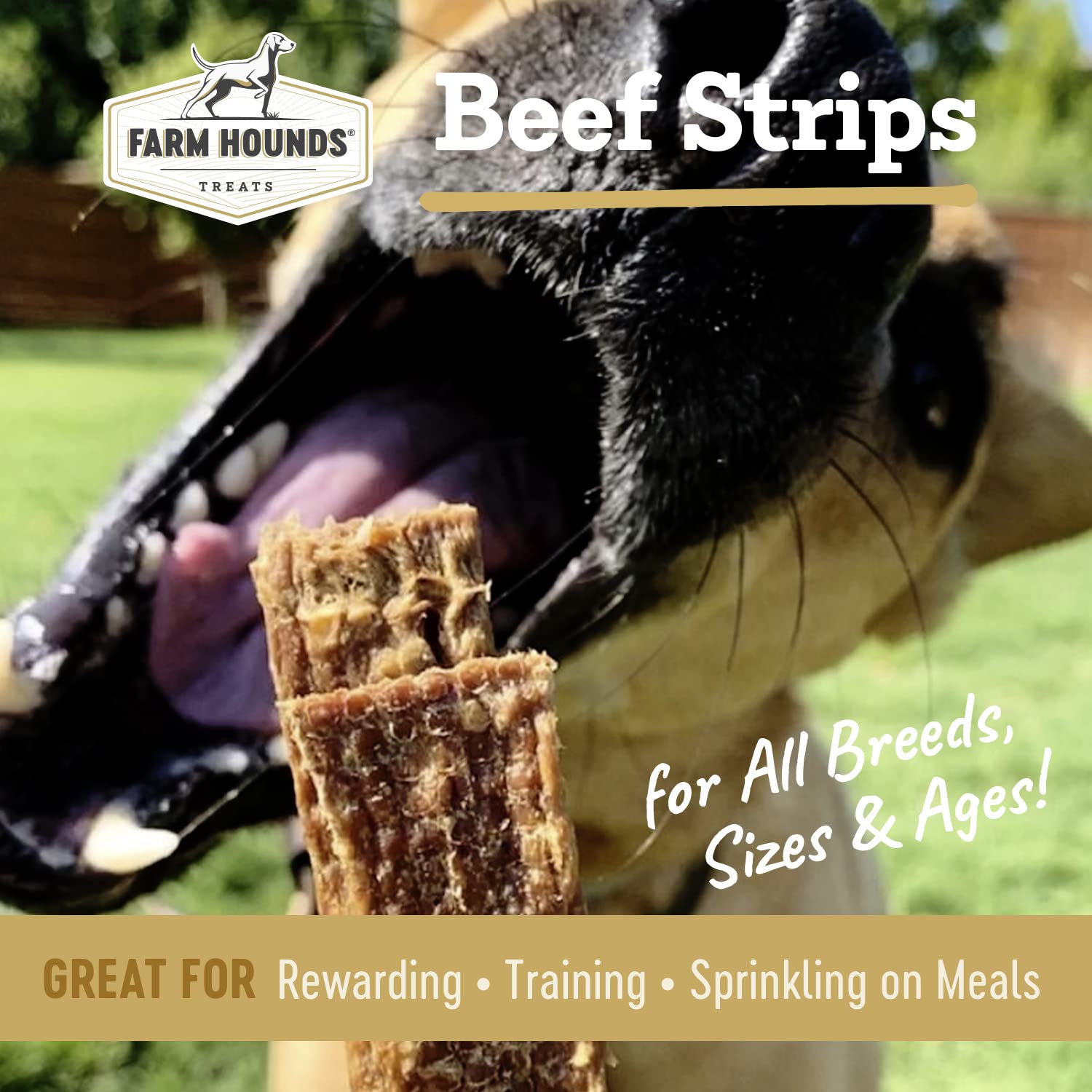 Farm Hounds - Beef Strips - Premium Natural Beef Jerky for Dogs - 100% Humanely Raised Cattle - Break-to-Size - Great for Traini