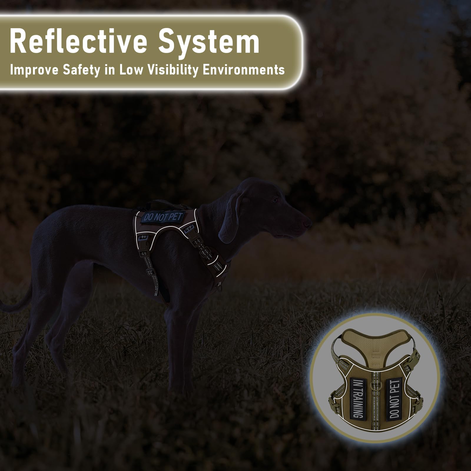 Aunzo No-Pull Adjustable Dog Harness For Small Dogs,Easy Control With Handle, For Havanese Chihuahua Puggle Etc, Inescapable, Ez