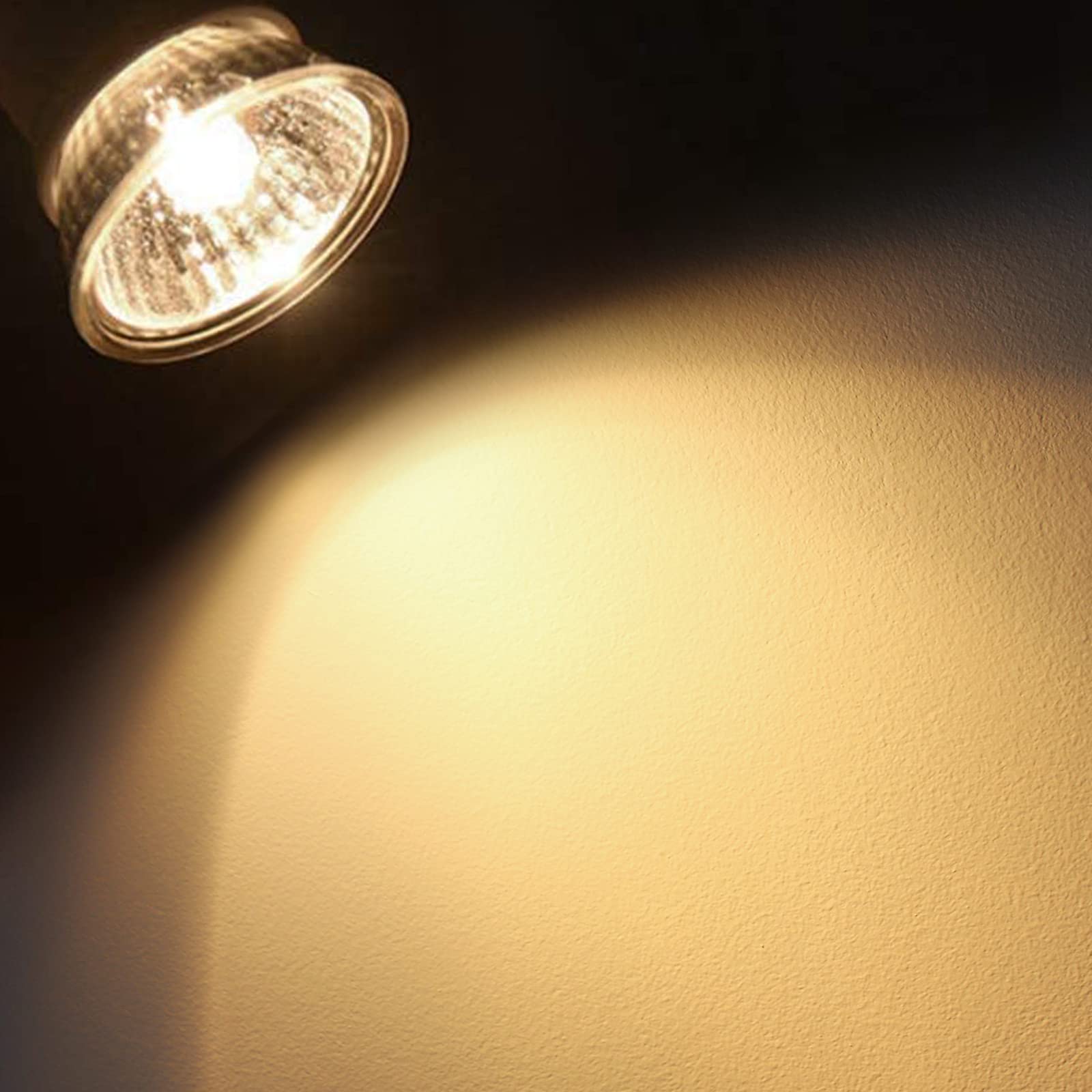 Dallfoll 2Pcs 25W / 50W Reptile Heat Lamp Turtle Heat Lamp Basking Lamp Heater Light Replacement Bulbs…