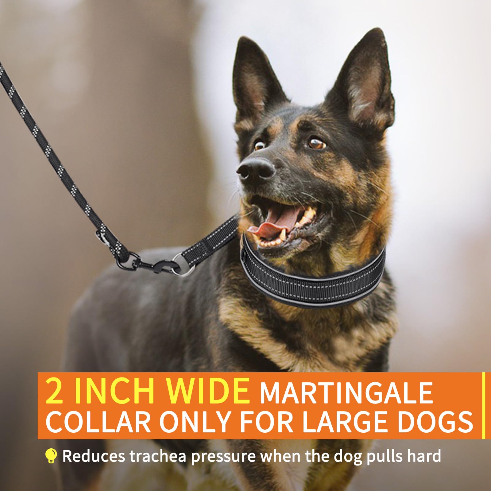 Mayerzon 2 Inch Wide Martingale Collar For Large Medium Dogs, Reflective Walking Training No Pull Collar For Pitbull German Shep