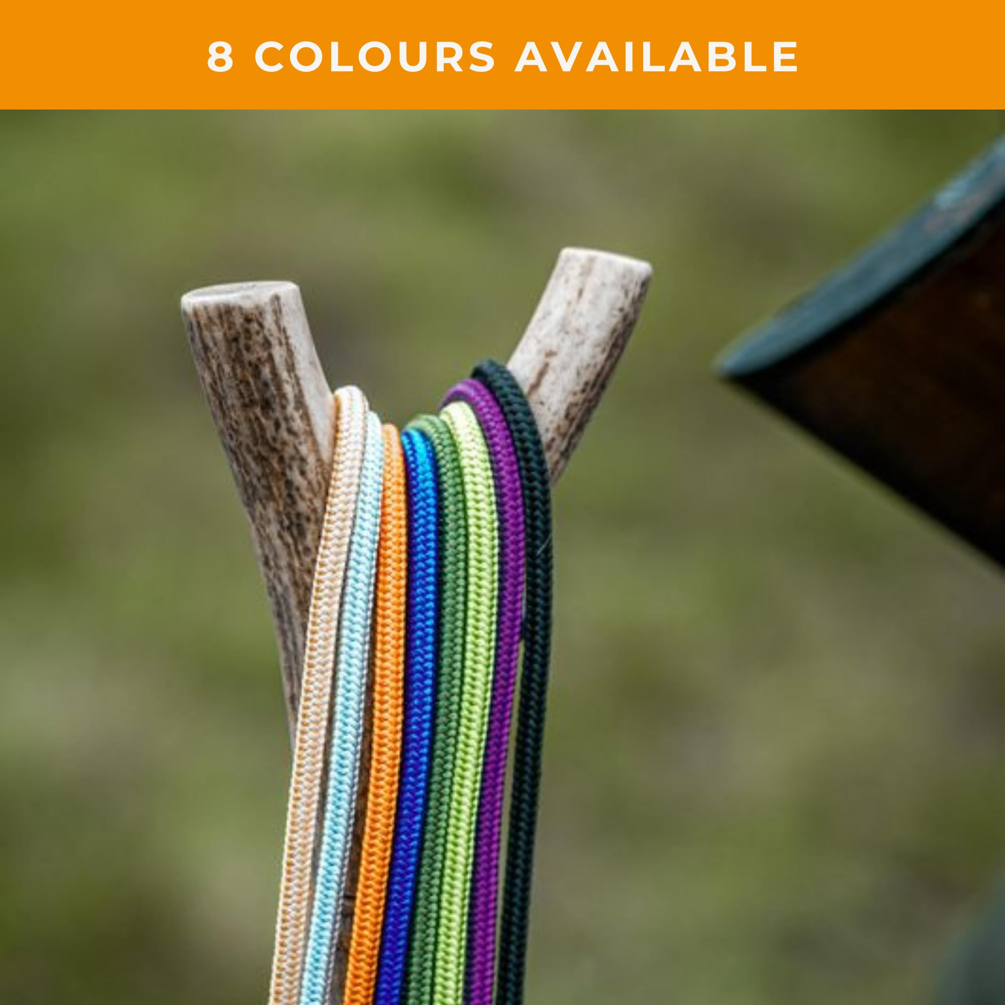 Dog & Field Signature Slip Lead For Dogs, Black. 4Ft Lightweight Dog Slip Leash With Sliding Rubber Stopper. Training Lead For D