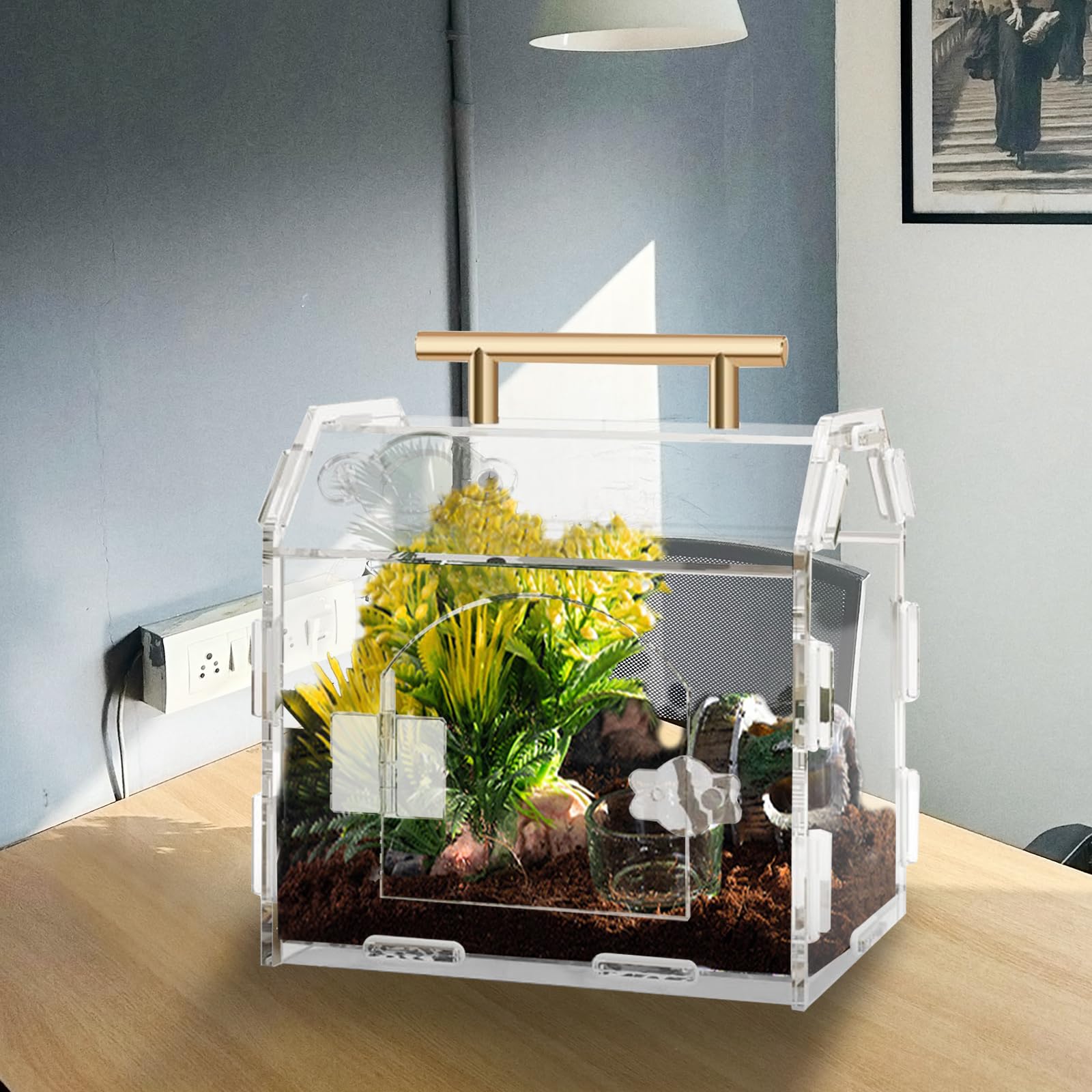 Jumping Spider Enclosure Acrylic Terrarium: Tarantula Enclosure With Front Opening Door - 5.9 * 4.7 * 6.1 Inches Micro Habitat T
