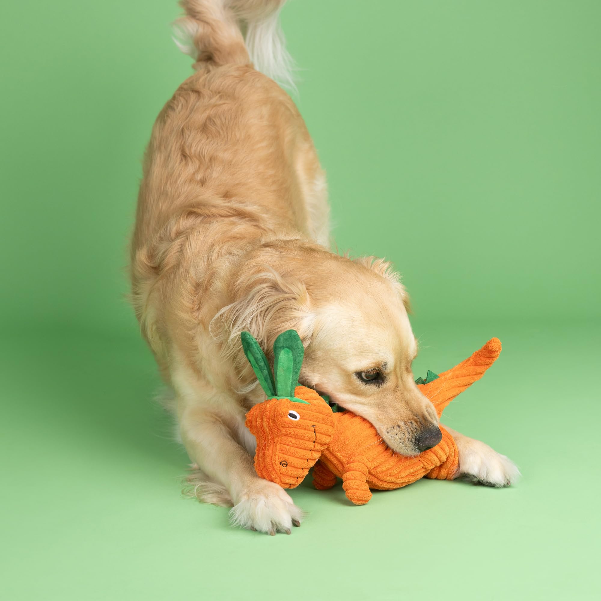 Fringe Studio Plush Dog Toy, Carrot Bout You, Petshop Collection (314305)