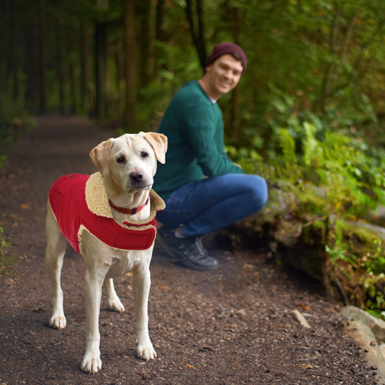 Queenmore Warm Dog Coat, Cold Weather Puffer Dog Coat, Quilting Winter Dog Jacket Ultra Thick Plush Lining With Storage Pockets (Red, Medium)