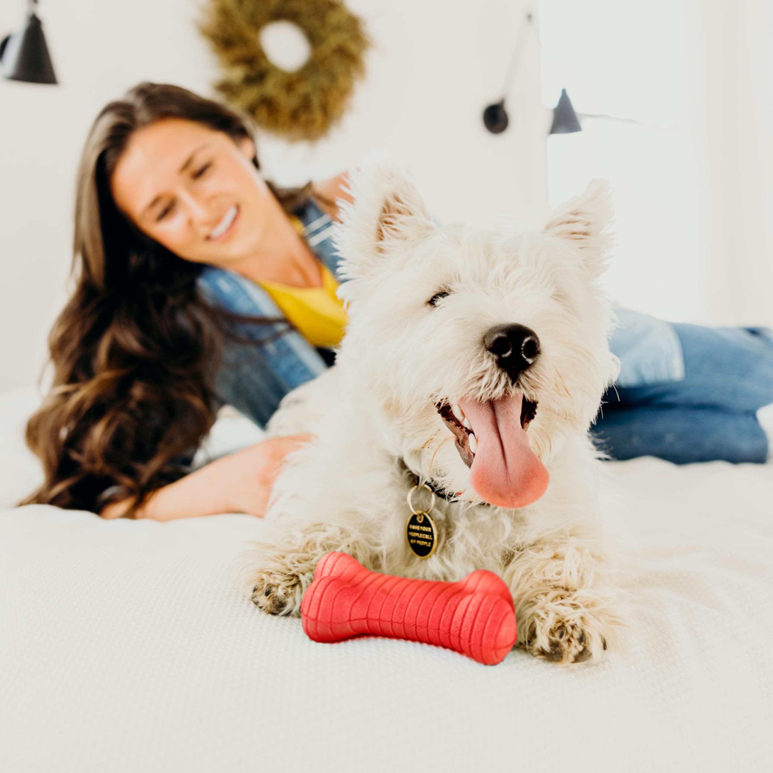 Playology Dog Toys | Dual Layer Bone Chew Toy Bone for Dogs (Value 2-Pack) | Medium Beef Scented Toy - Easy to Clean and Made fr