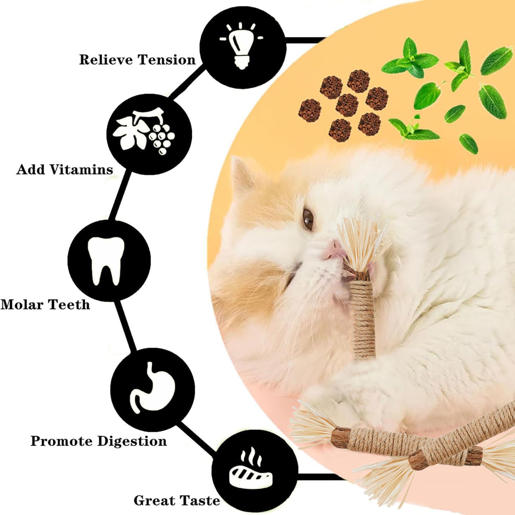 GREMBEB Cat Toys,6PCS Kitten Toys for Indoor Cats Catnip Toy for Chewing Silvervine Stick for Cleaning Teeth Kitty Dental Treat