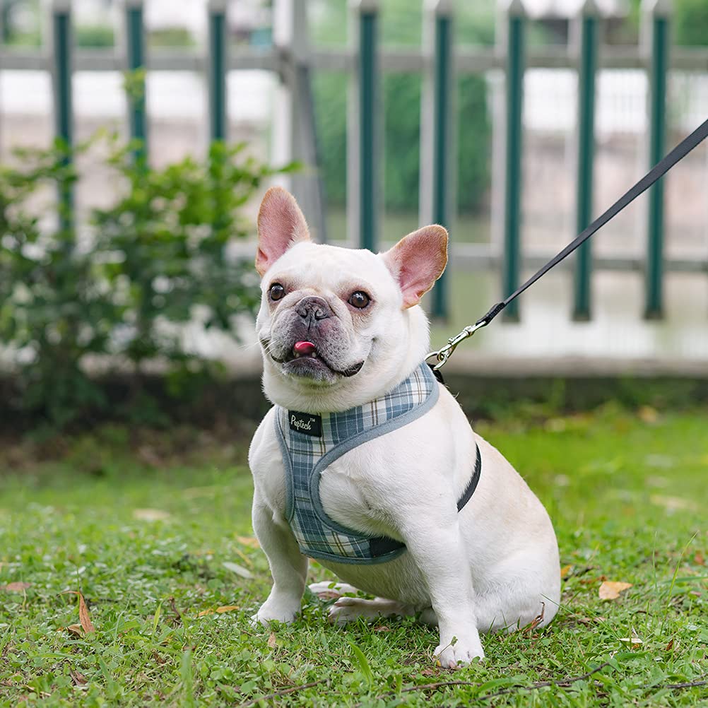 Pupteck Soft Mesh Dog Harness And Leash Set Pet Puppy Cat Comfort Padded Vest No Pull Harnesses, Sky Blue, M