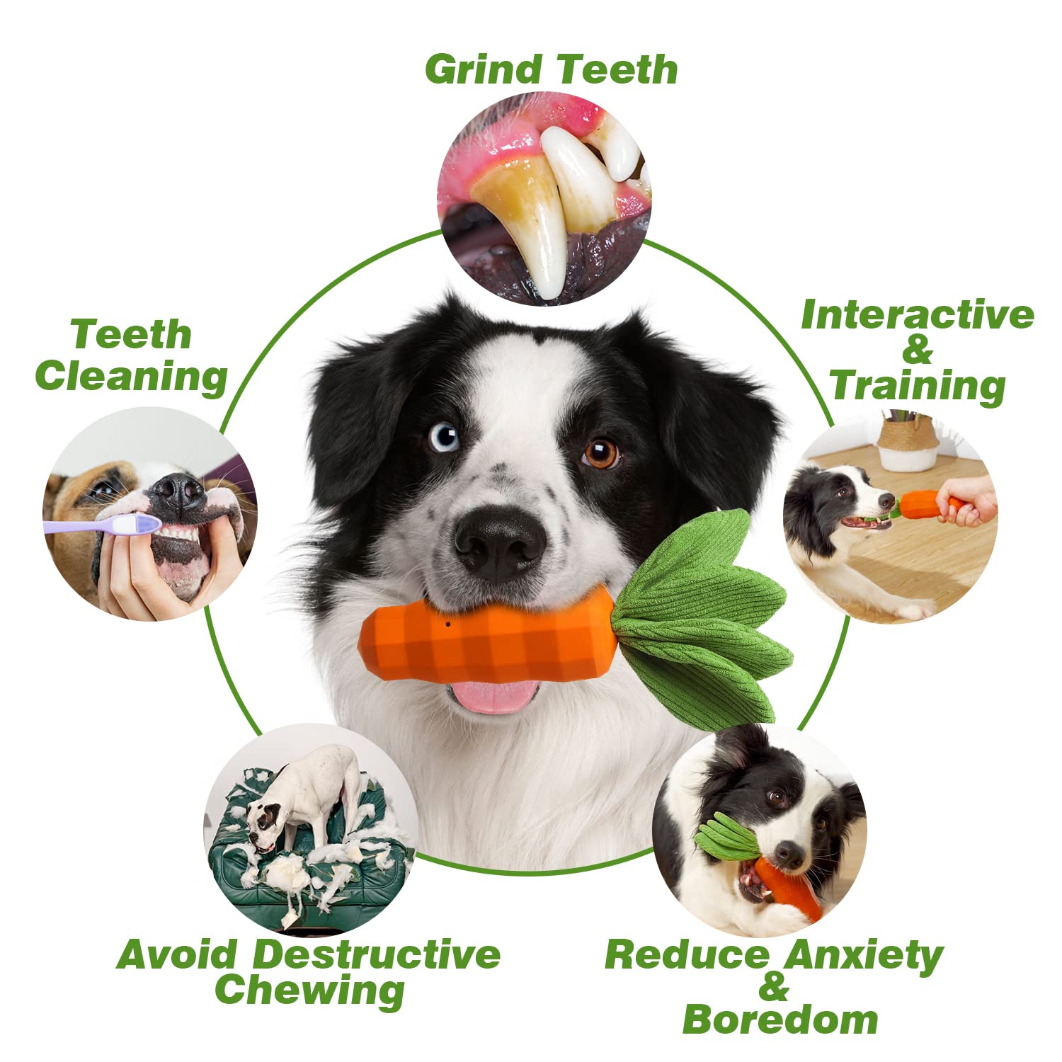 Dog Squeaky Chew Toys for Aggressive Chewers, Rubber Carrot Dog Toys for Training and Cleaning, Durable Interactive Tough Dog To