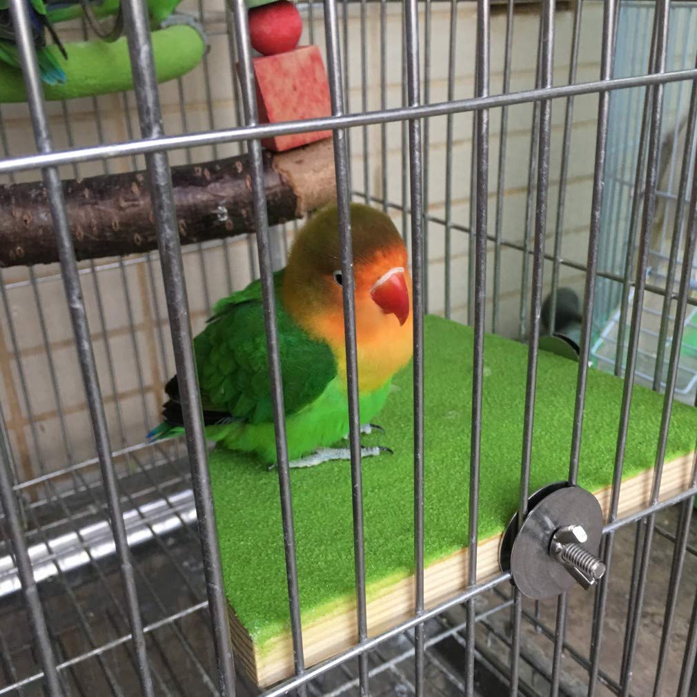 Bird Perch Stand Birdcage Platform For Small Medium Parrot Rat Small Animal (7Inch, Green)