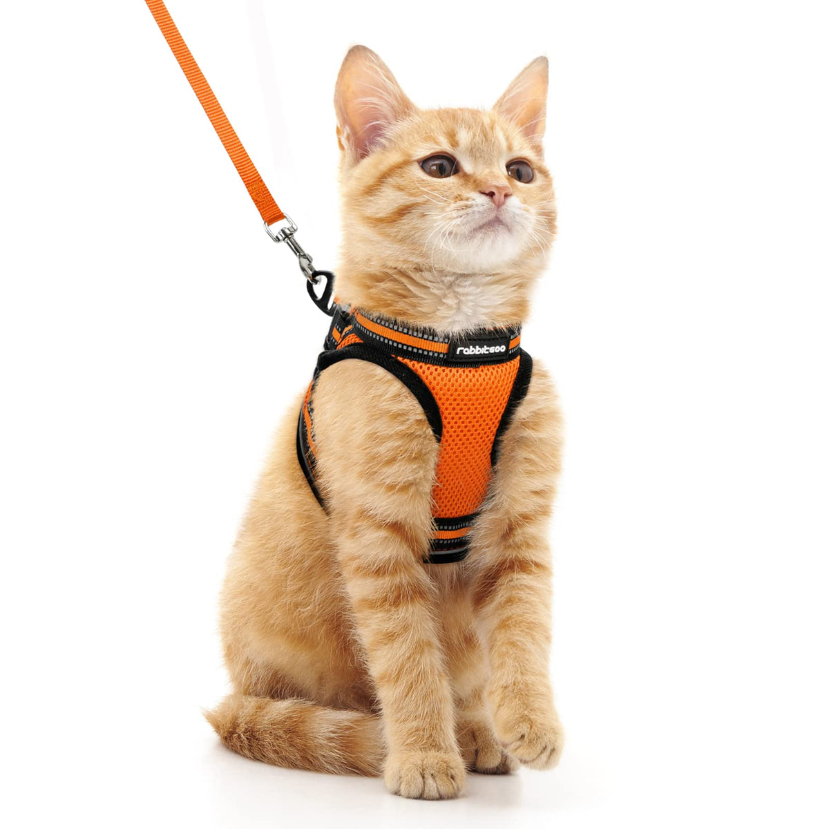 Rabbitgoo Cat Harness And Leash Set For Walking Escape Proof, Adjustable Soft Kittens Vest With Reflective Strip For Cats, Comfortable Outdoor Vest,Light Orange,M