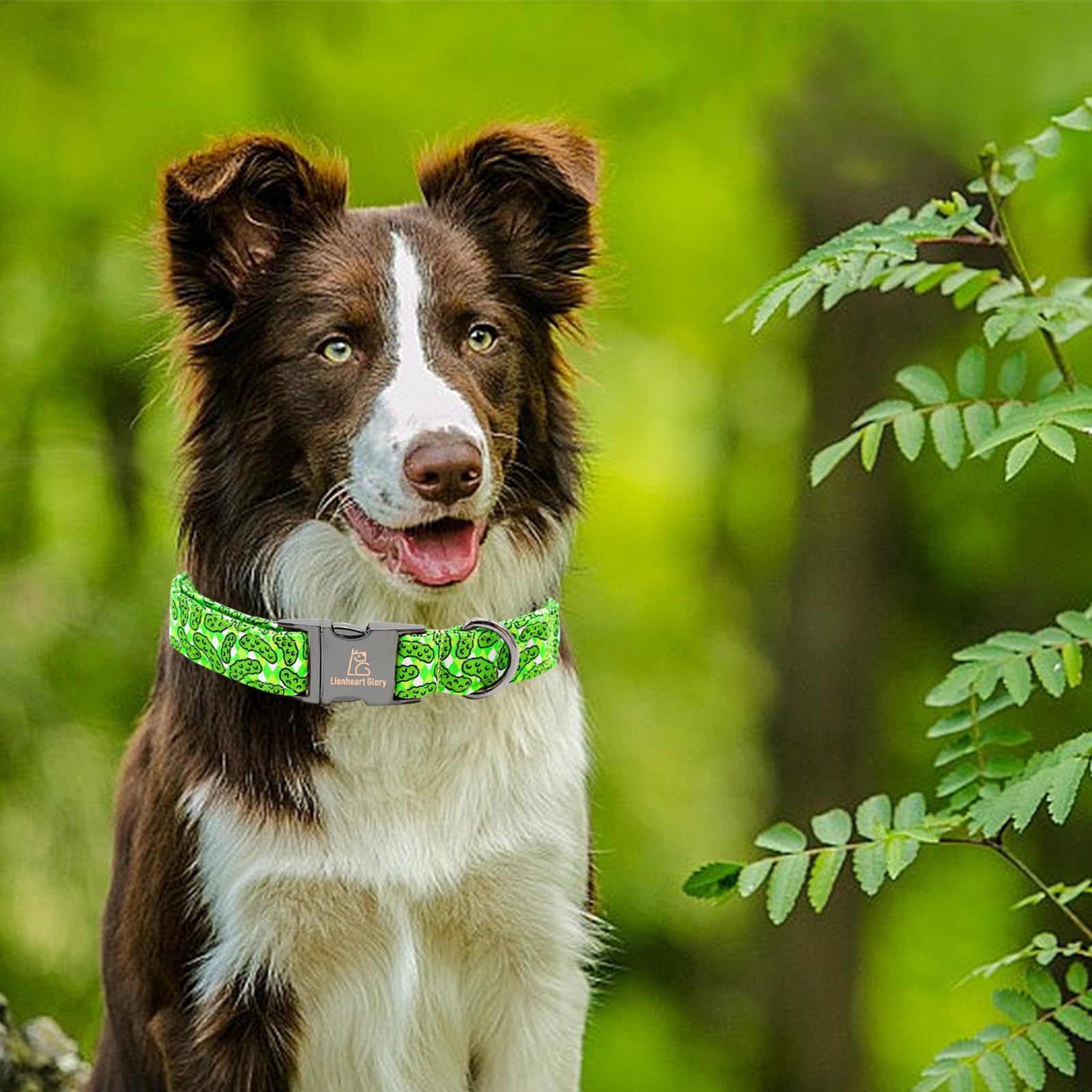 Lionheart Glory Green Dog Collar Cucumbers Dog Collar Femal/Meal Collars Soft Durable Adjustable Pet Gift Collar Spring Collar D