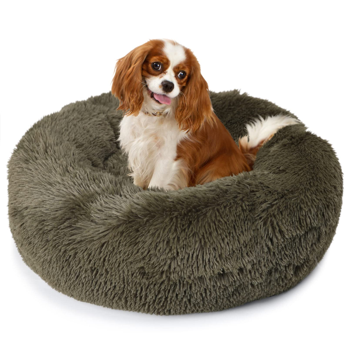 Puppy Bed For Calming Dog 23 Inches Green Anti-Anxiety Donut Dog Bed For Small Medium Dogs Washable Fuzzy Dog Bed Fits Up To 15 Lbs Pets Beds For Small Dog