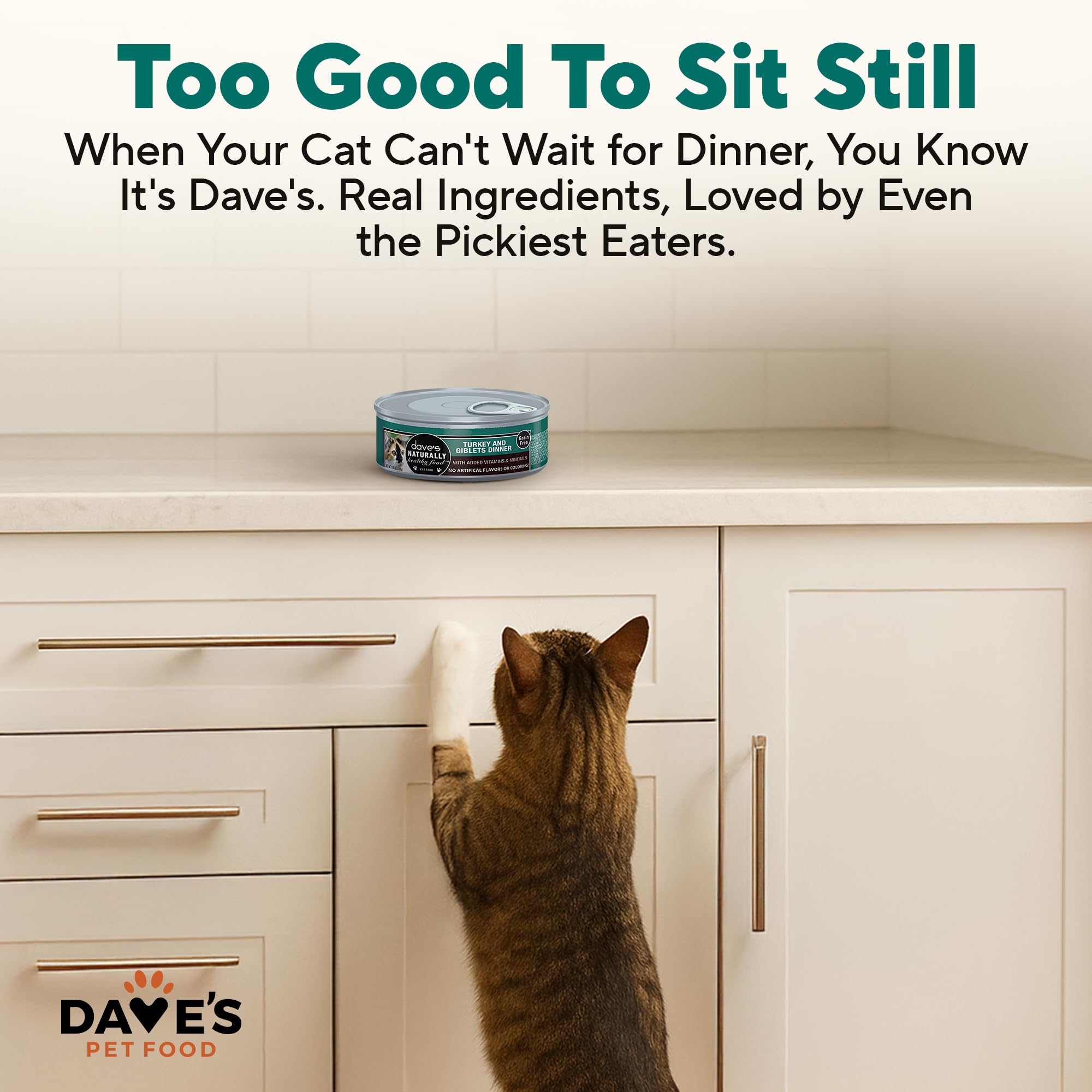 Daves Pet Food Grain Free Wet Cat Food Gravy (Turkey & Giblets Dinner in Gravy), Made in USA Naturally Healthy Canned, Added Vi