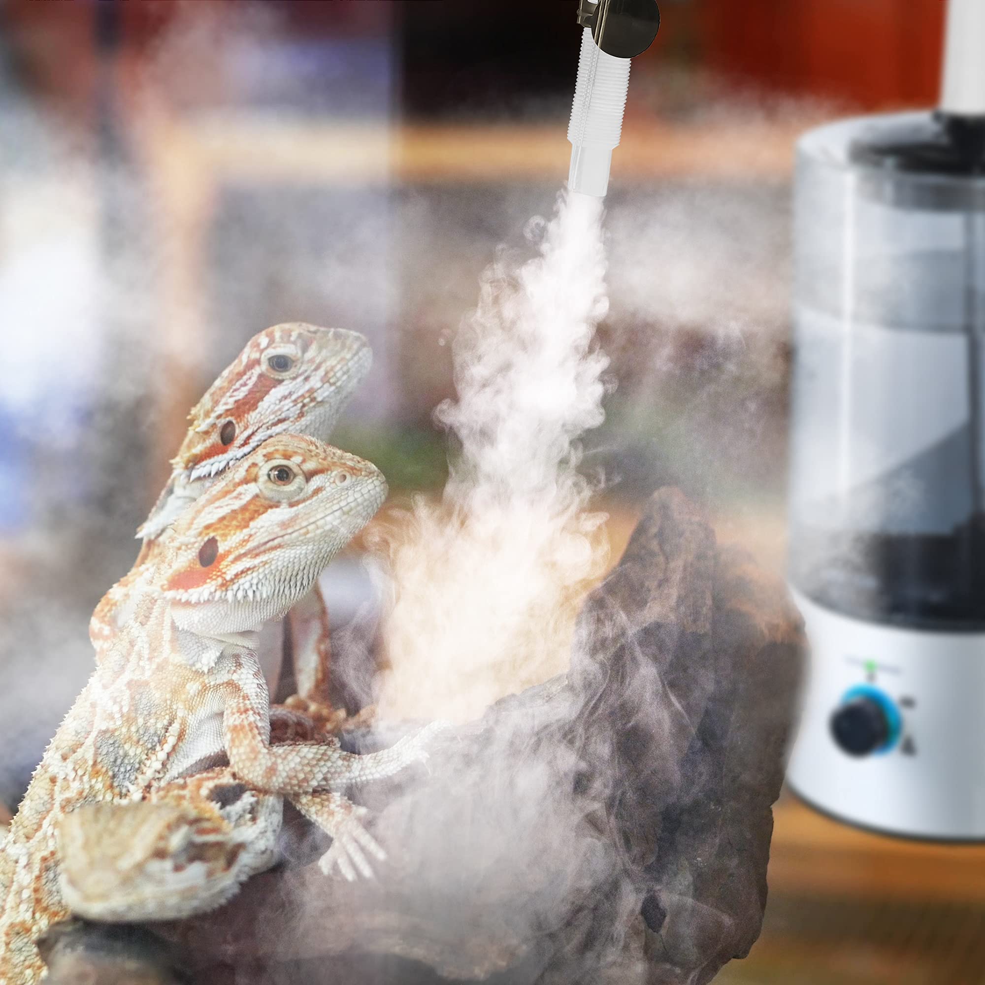 Dreyoo Reptile Humidifier Fogger - 4L Cool Mist Mister for Tortoise, Chameleon & Snake Habitats, Compatible with All Terrariums