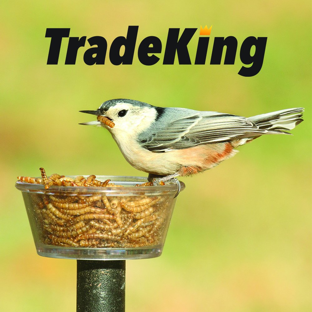 TradeKing 5 lb Dried Mealworms - High Protein Treat for Wild Birds, Chicken, Fish & Reptiles