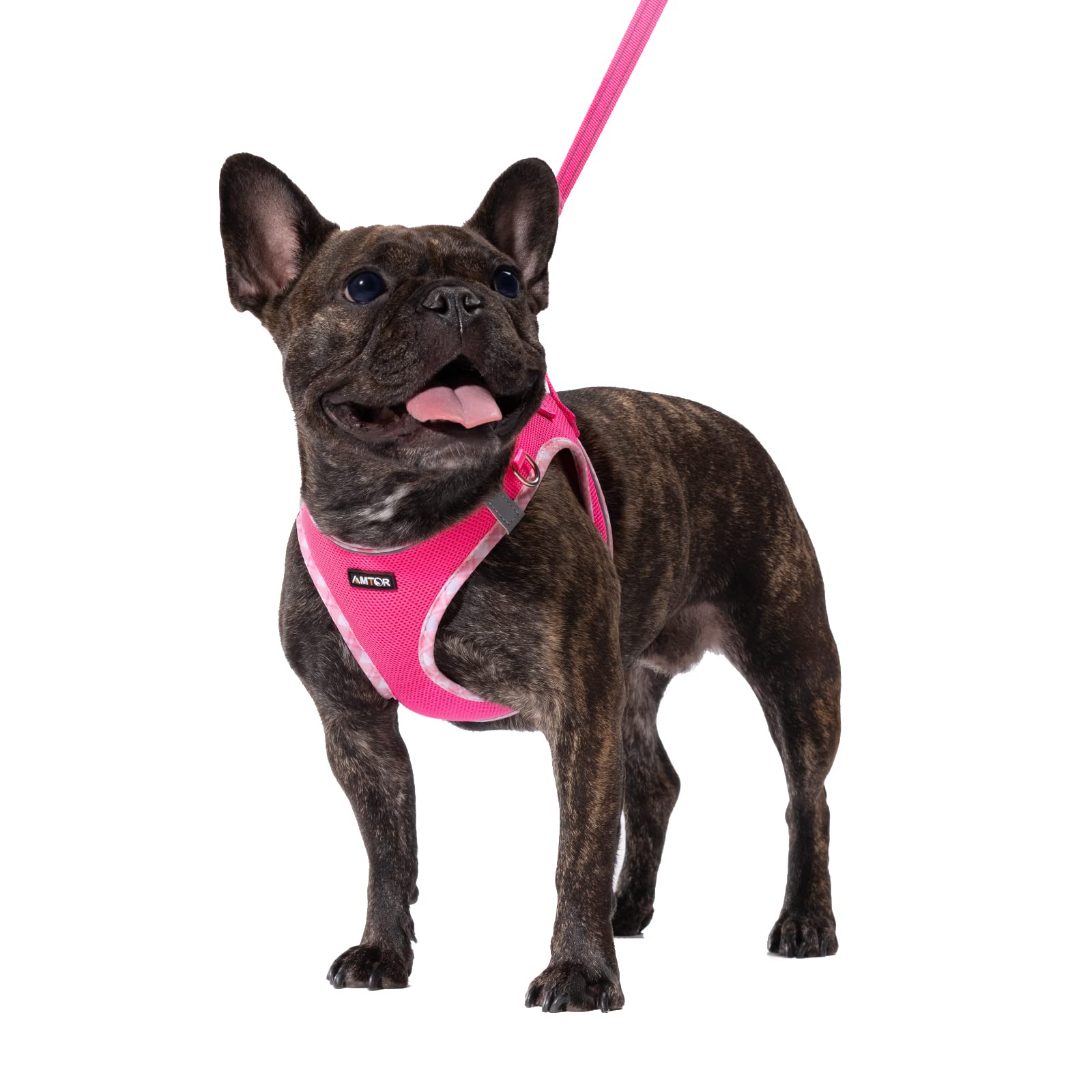Amtor Dog Harness With Leash Set,No Pull Adjustable Reflective Step-In Puppy Harness With Padded Vest For Extra-Small/Small Medium Large Dogs And Cats(Fuchsia,L)