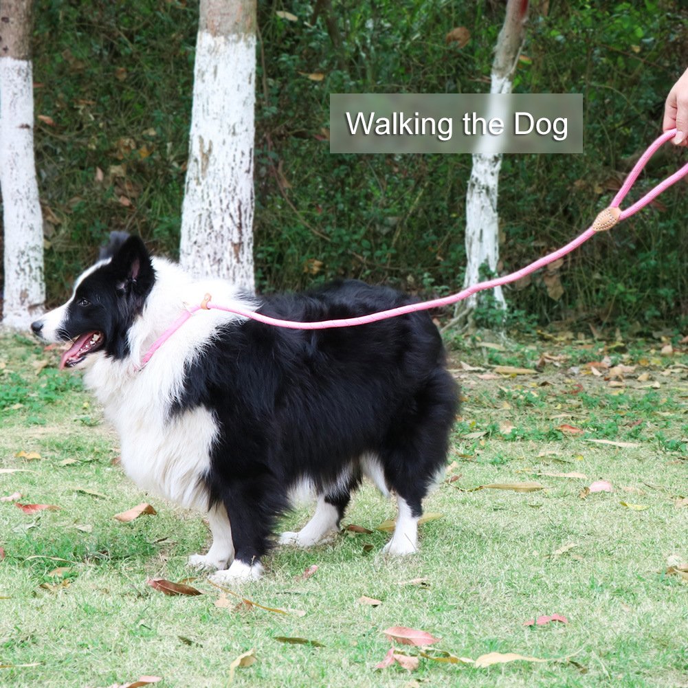 Grand Line Slip Lead Dog Leash, 5Ft Reflective Slip Rope, Puppy Training Walking Controlling Lead, Slip Collar Pet Leash For Small, Medium, Large Dogs (Pink, Medium-2/5In X 5Ft)