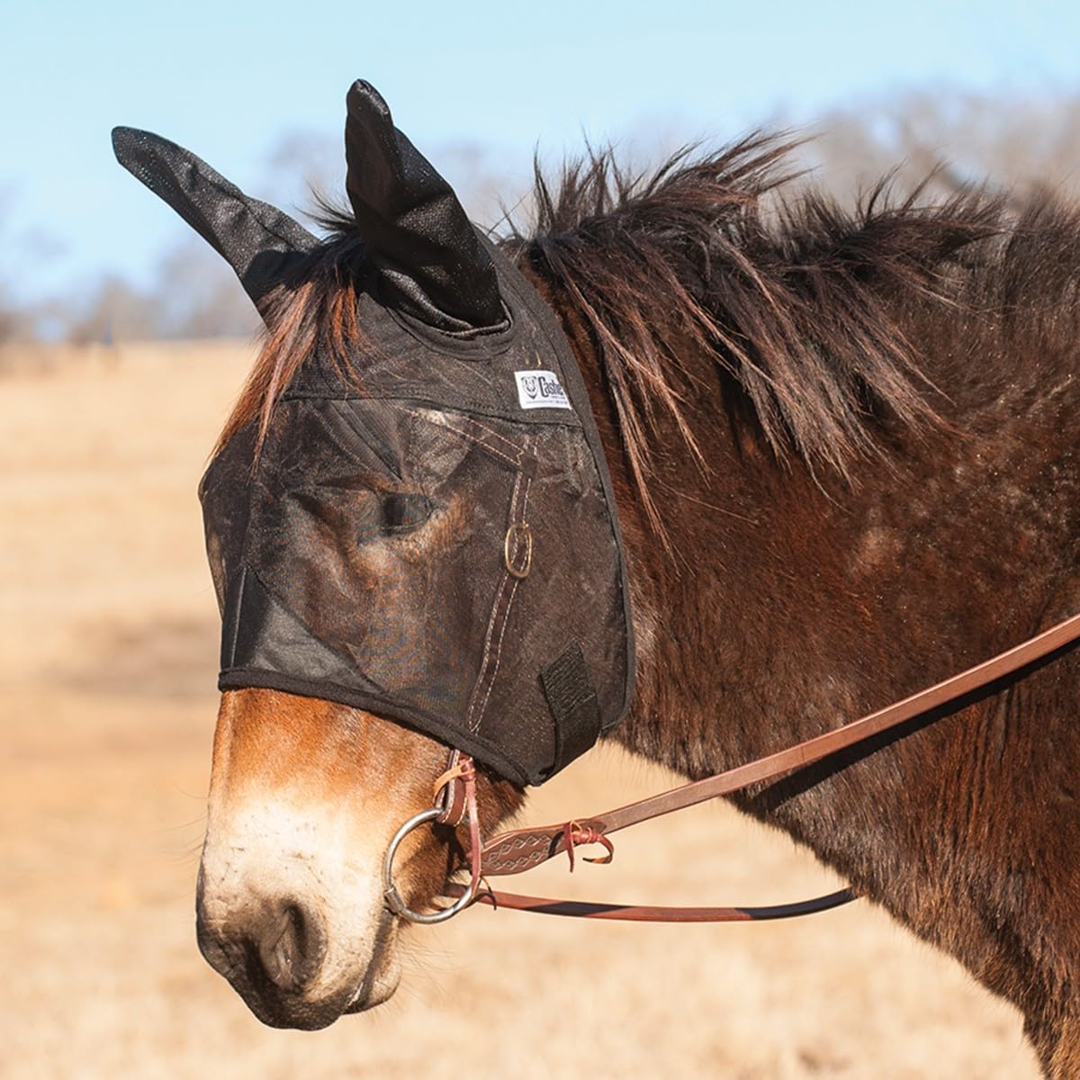 Cashel Quiet Ride Mule Fly Mask with Ears, Black, Mule Weanling