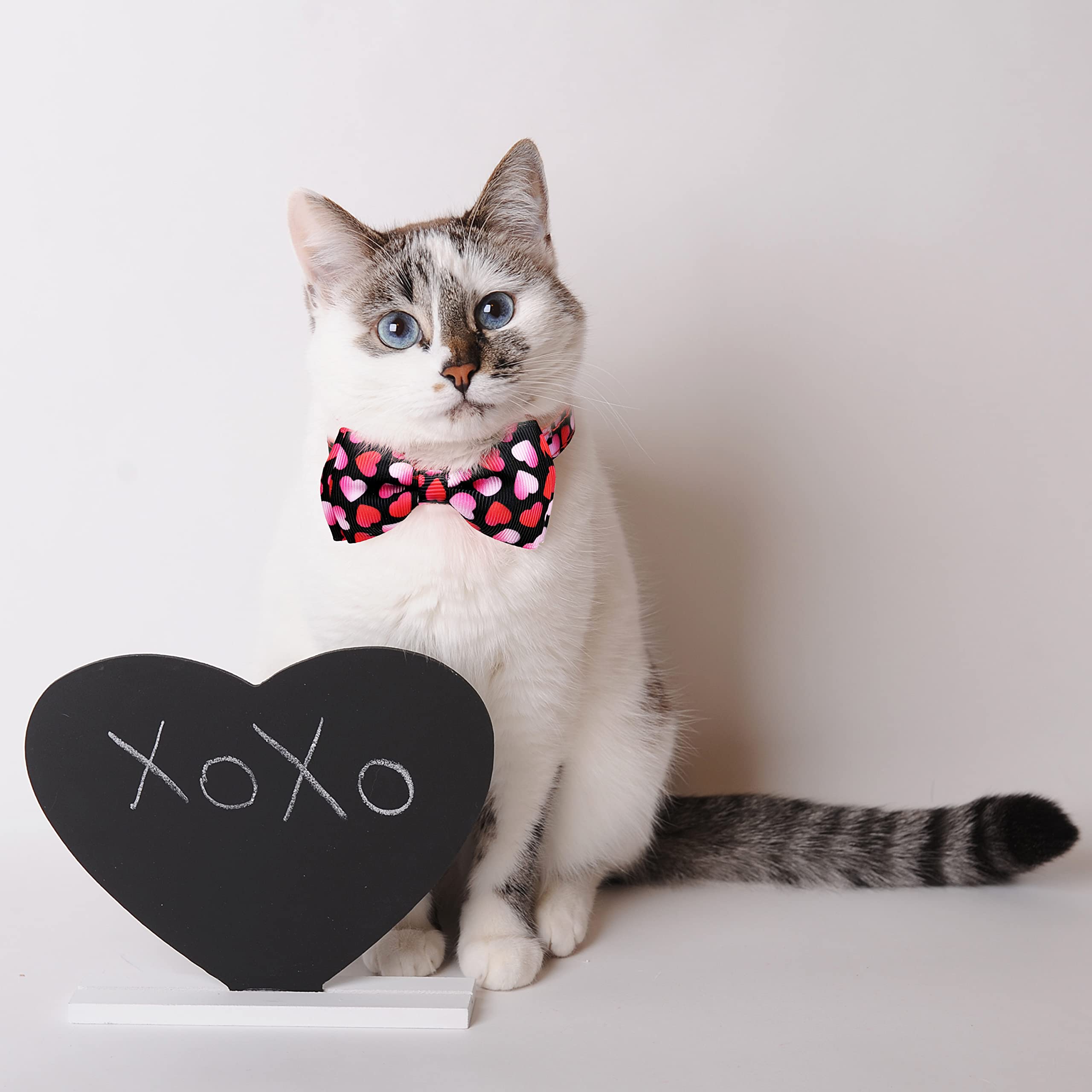 Pohshido 2 Pack Valentine Kitty Kitten Collar With Bow Tie, Holiday Heart Collar With Bell For Boys And Girls Male Female Cats (Pattern 1)