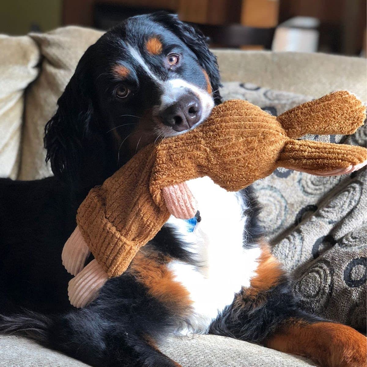 Snuggle Puppy Tender-Tuffs - Water Bottle Cruncher with Crinkle Action - No Squeaker Whisper Rabbit Bottle Cover Dog Toy